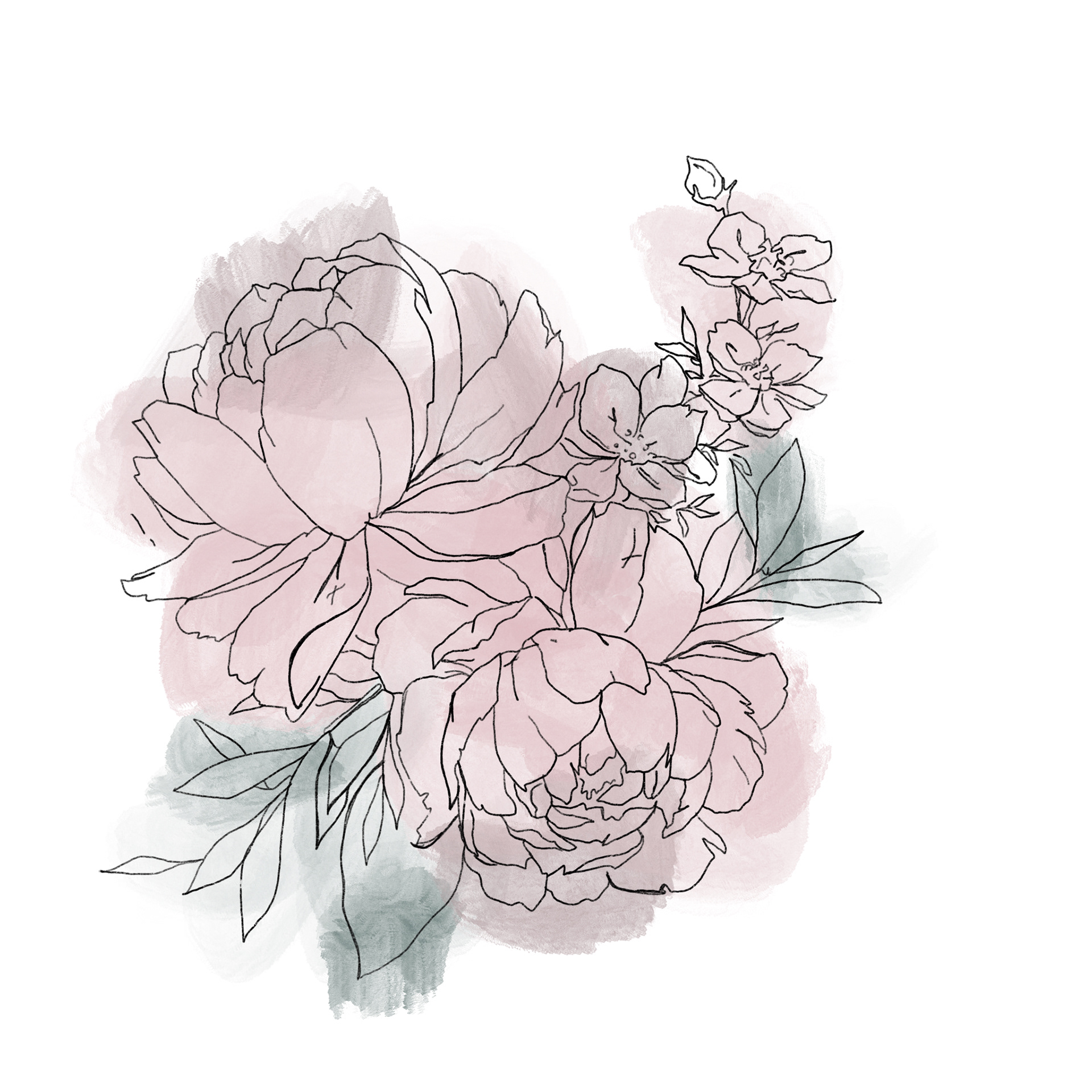 Digital Illustration - Floral