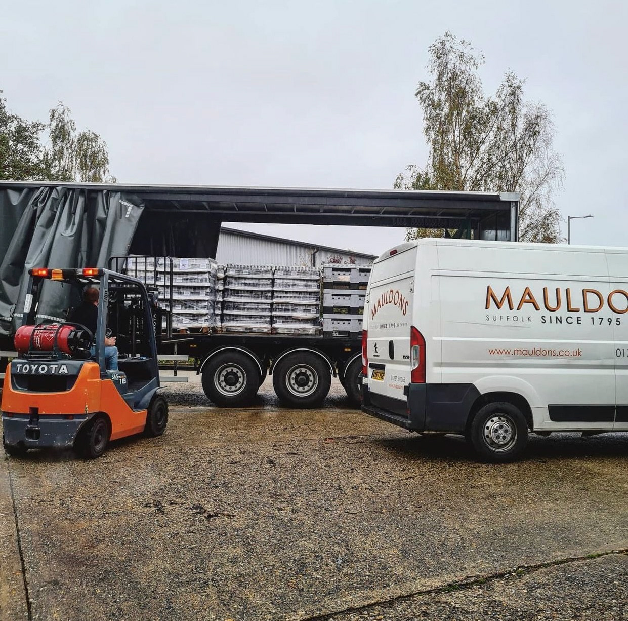 Mauldons Brewery - Branding