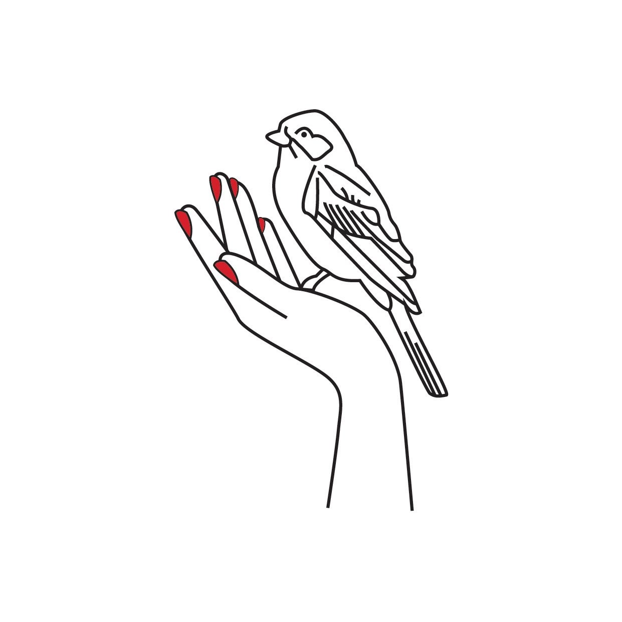 Illustrations for Hughes & Friend, a Norwich based Florist 