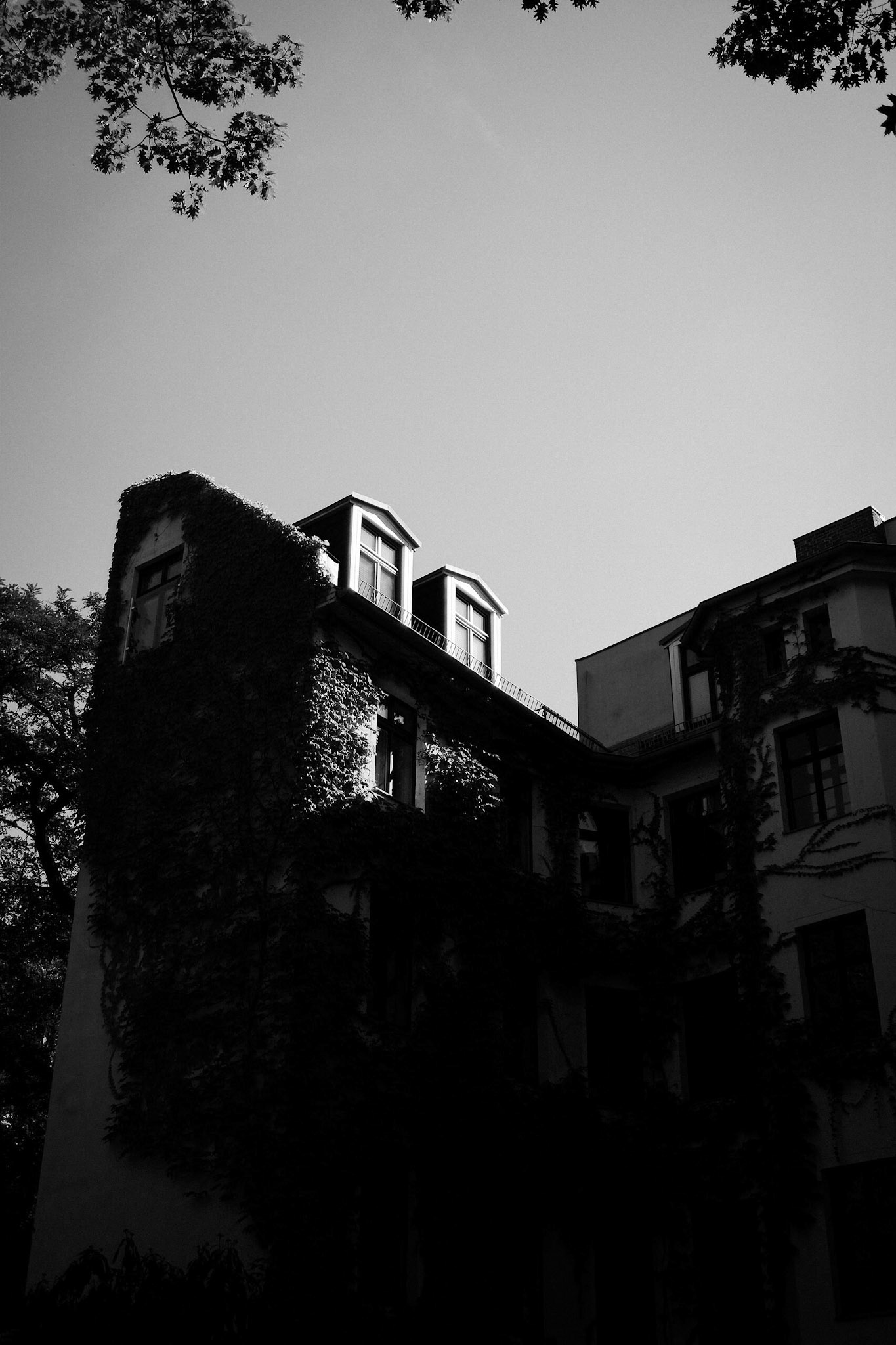 Processed With Darkroom