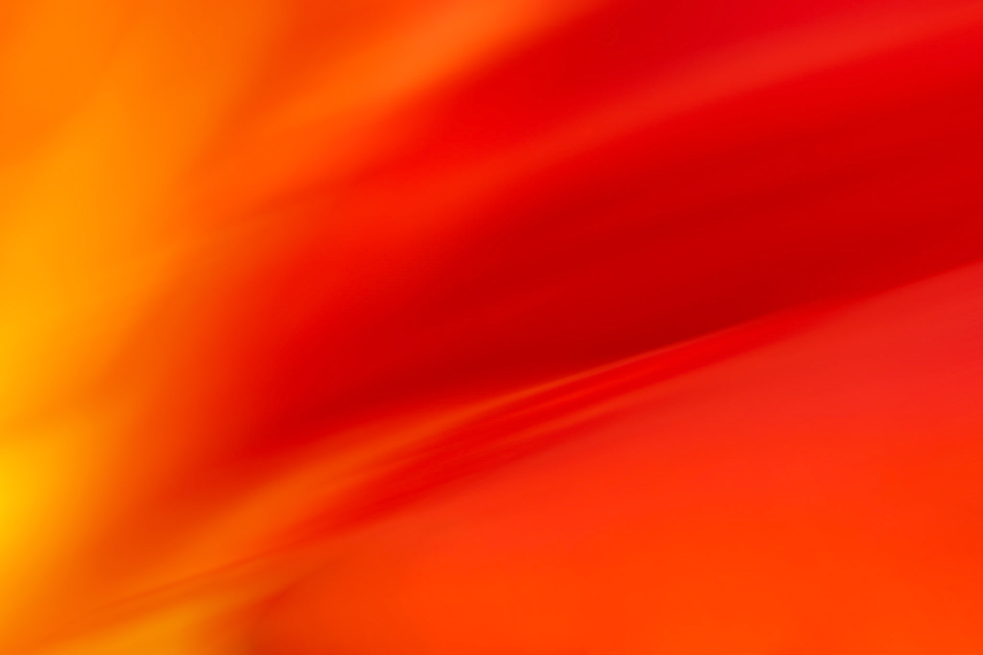 Petals - W-0102