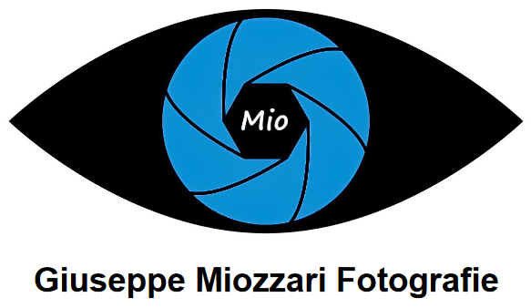 Giuseppe Miozzari