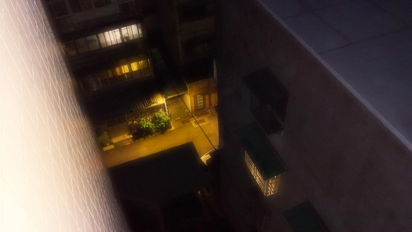 sliver of life