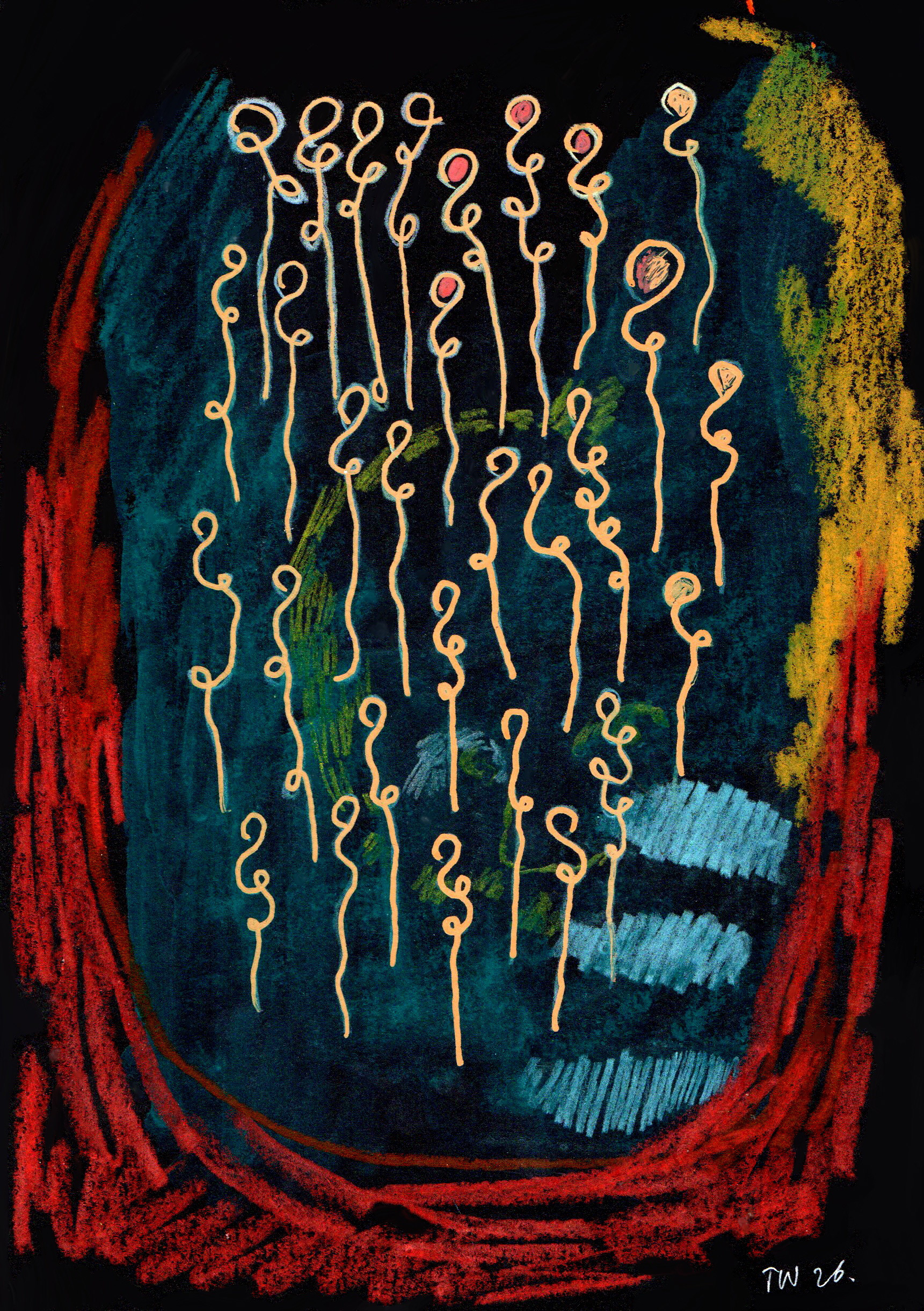 Amoeben 21 x 14,8 cm
