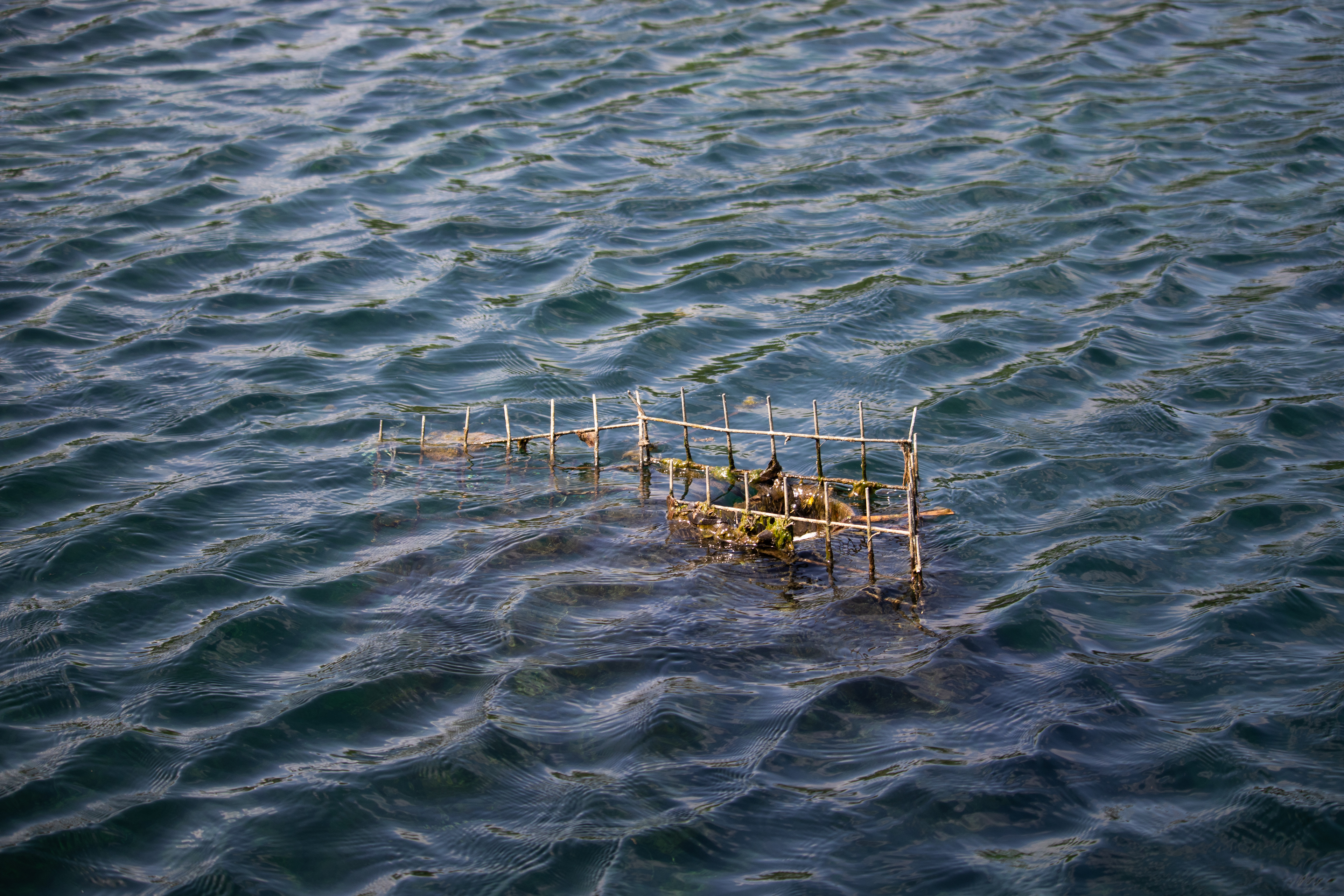 Carbon stored in Ocean environments