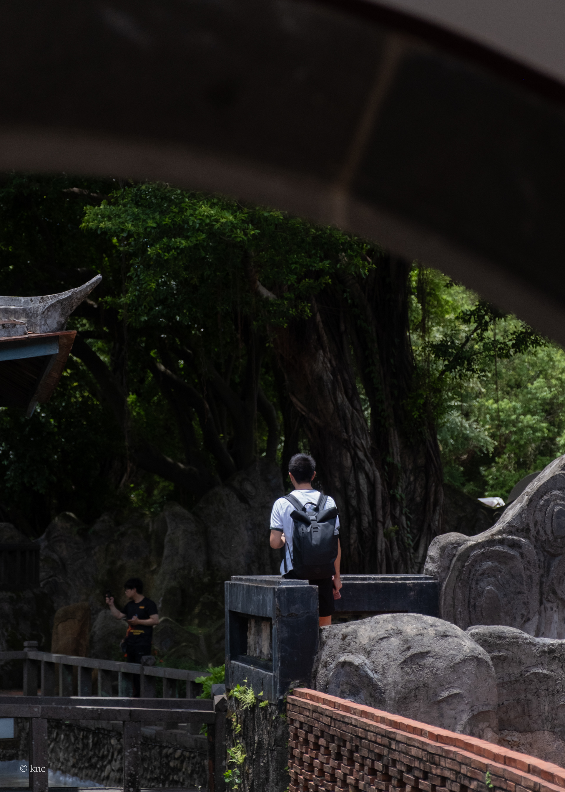 The Lin Family Mansion and Garden