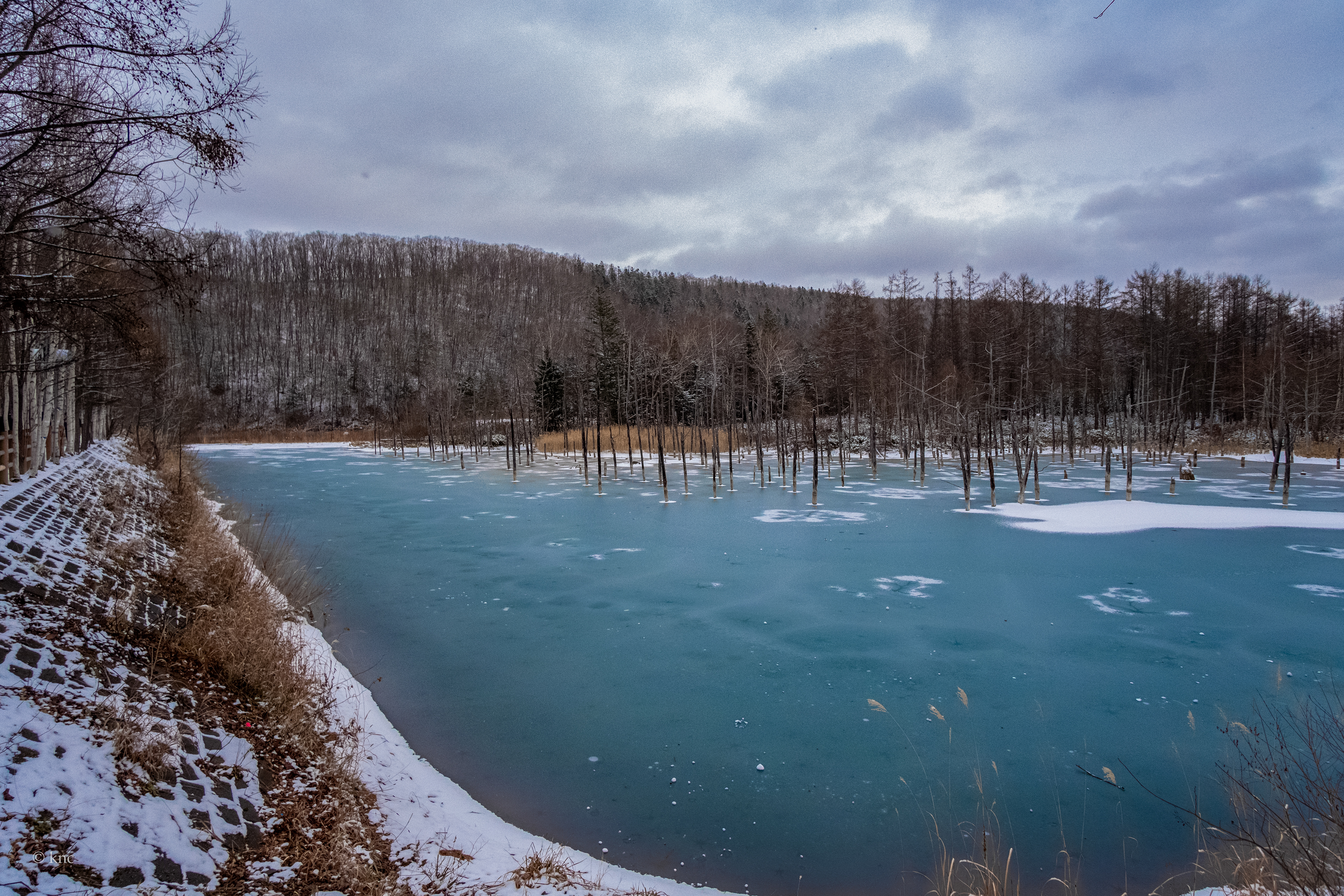Blue Pond