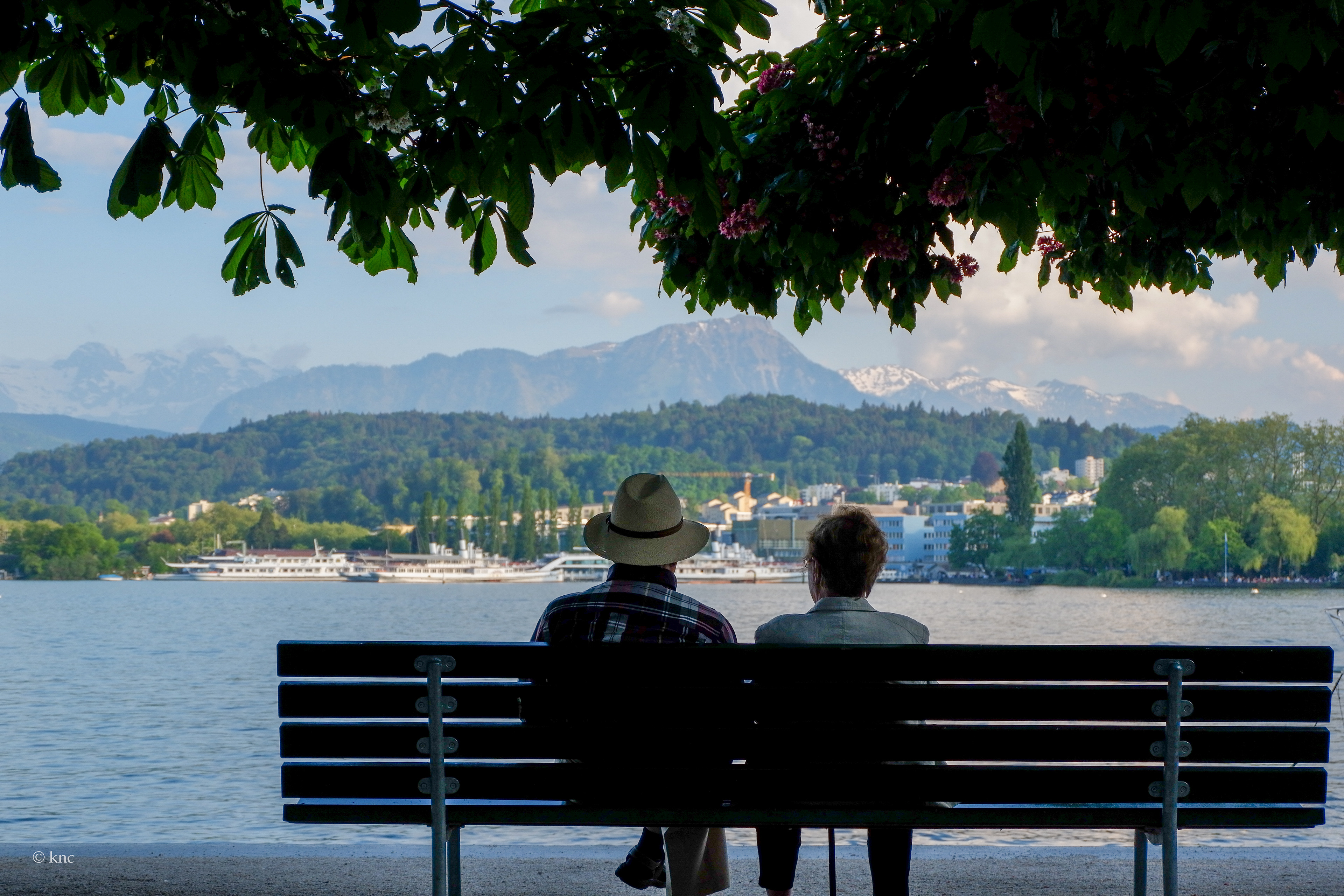 Lucerne