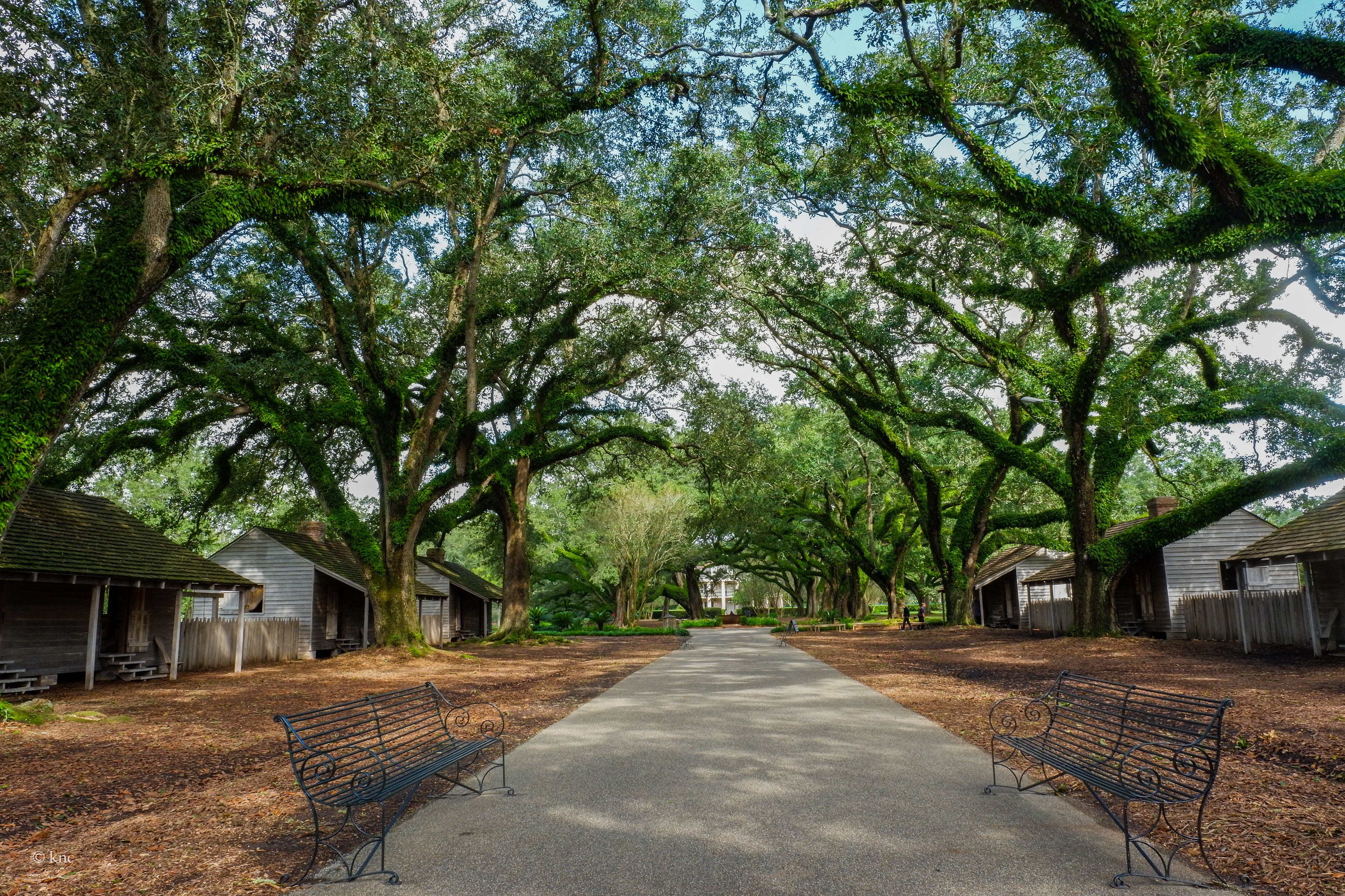 Oak Alley Plantation