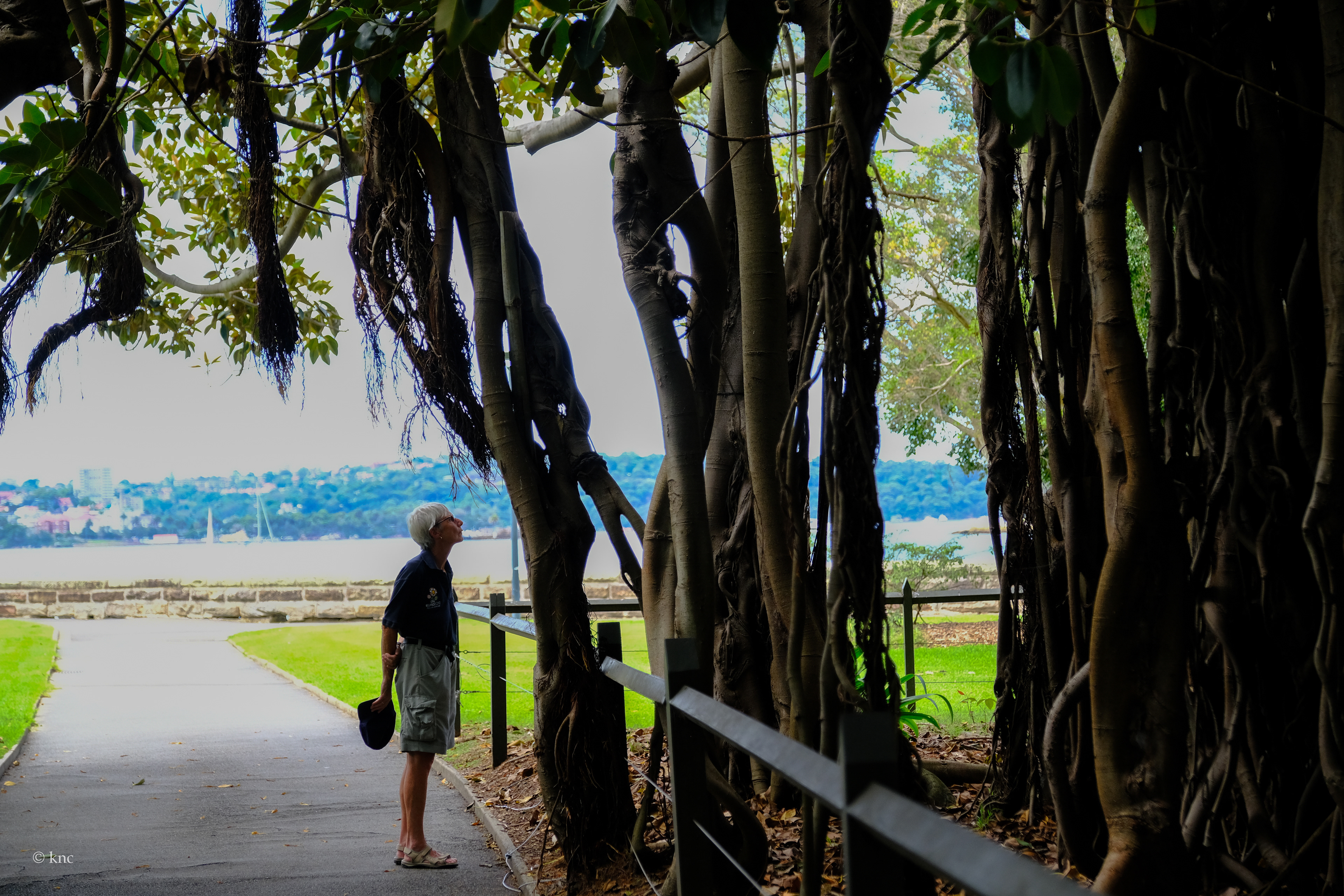 Sydney
