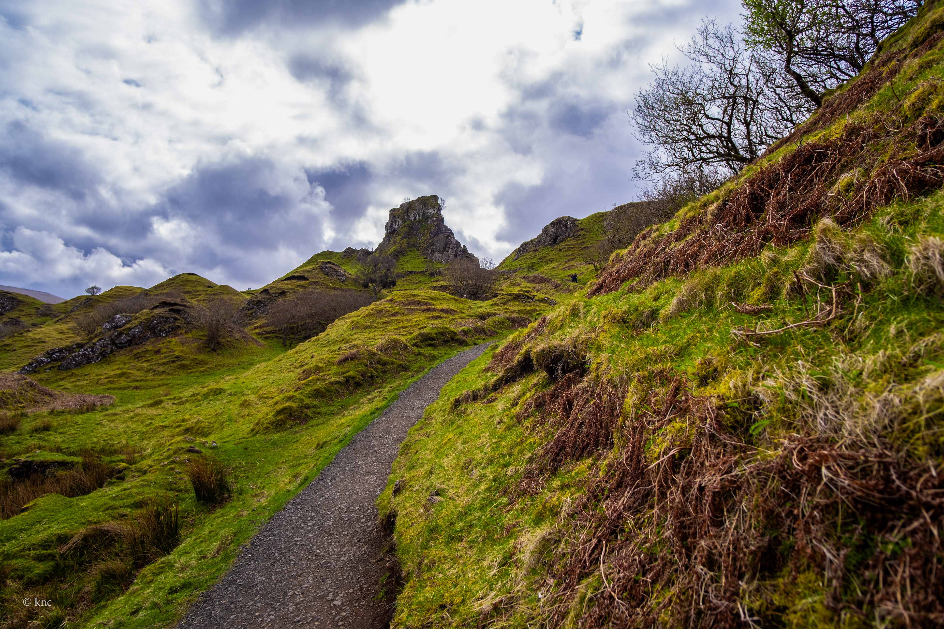 Fairy Glen