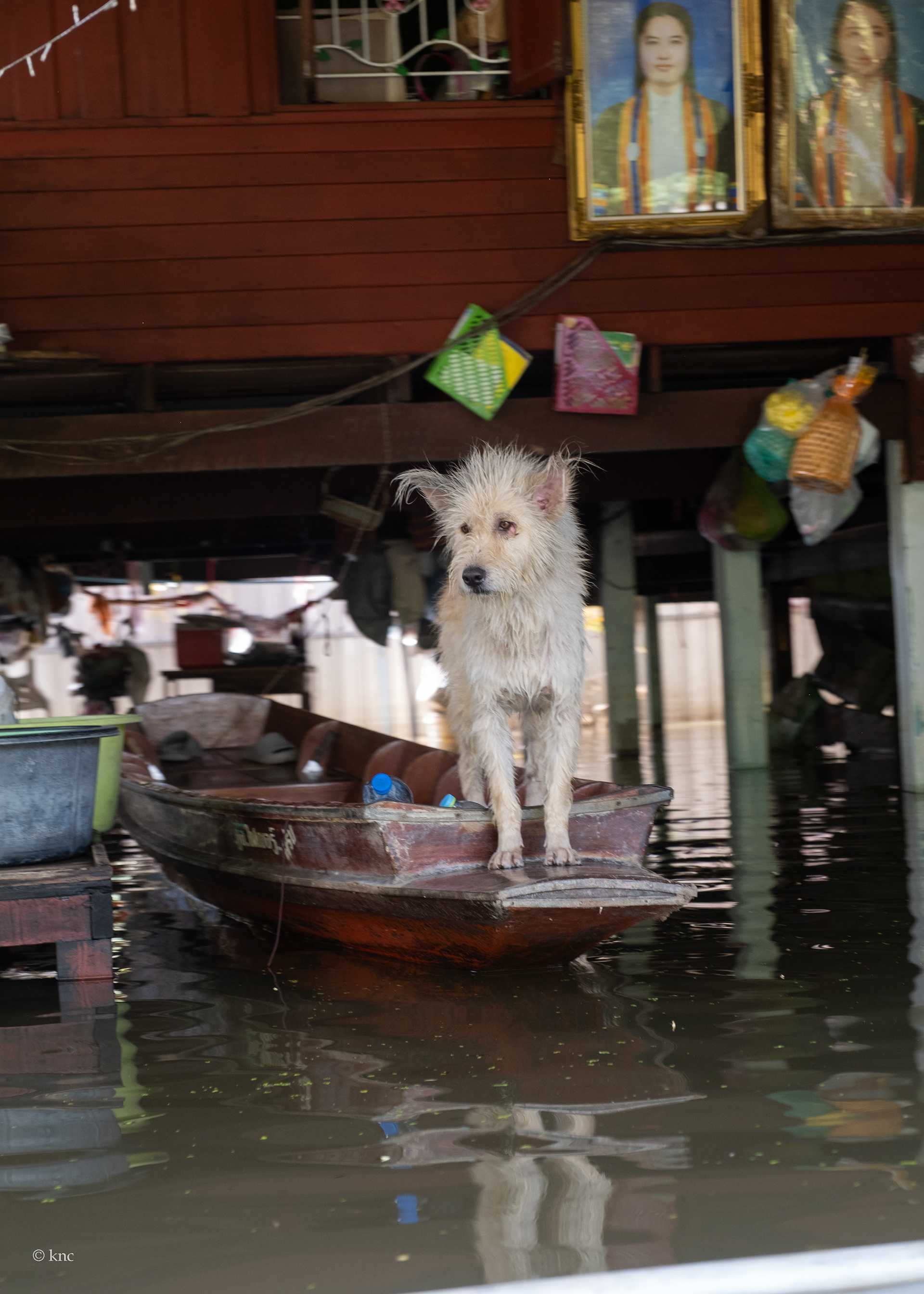 Damnoen Saduak Floating Market