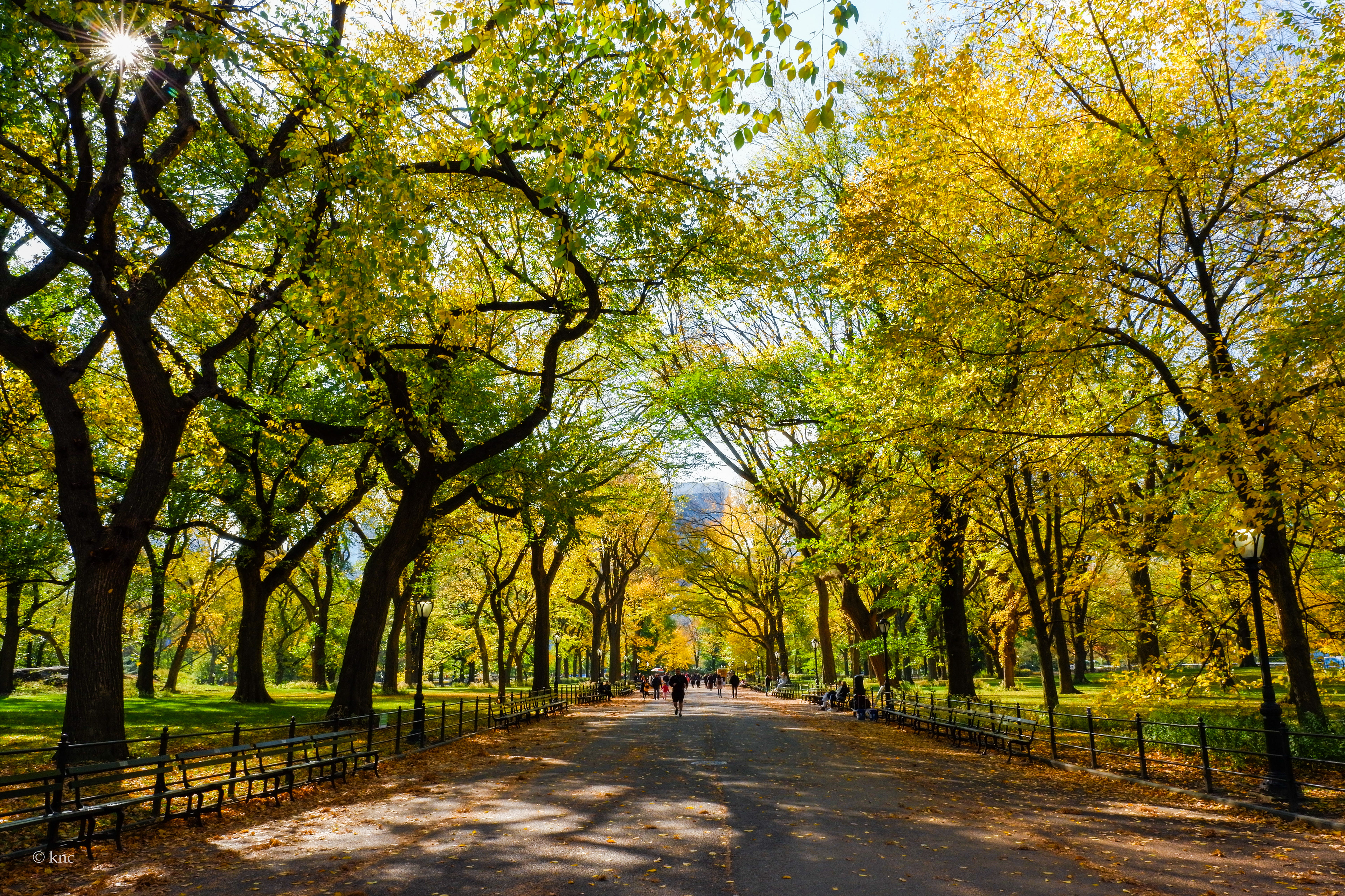 Central Park