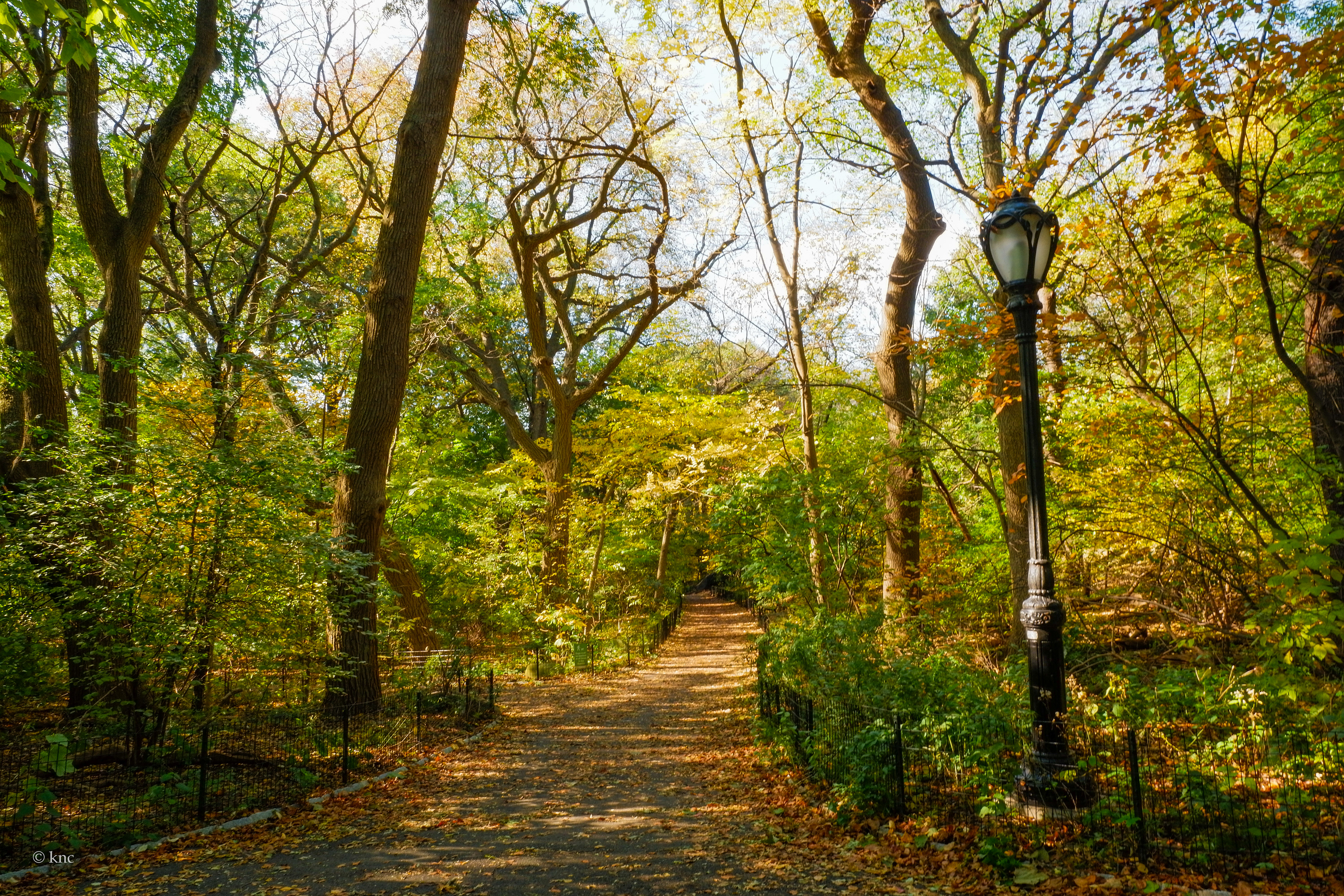 Central Park