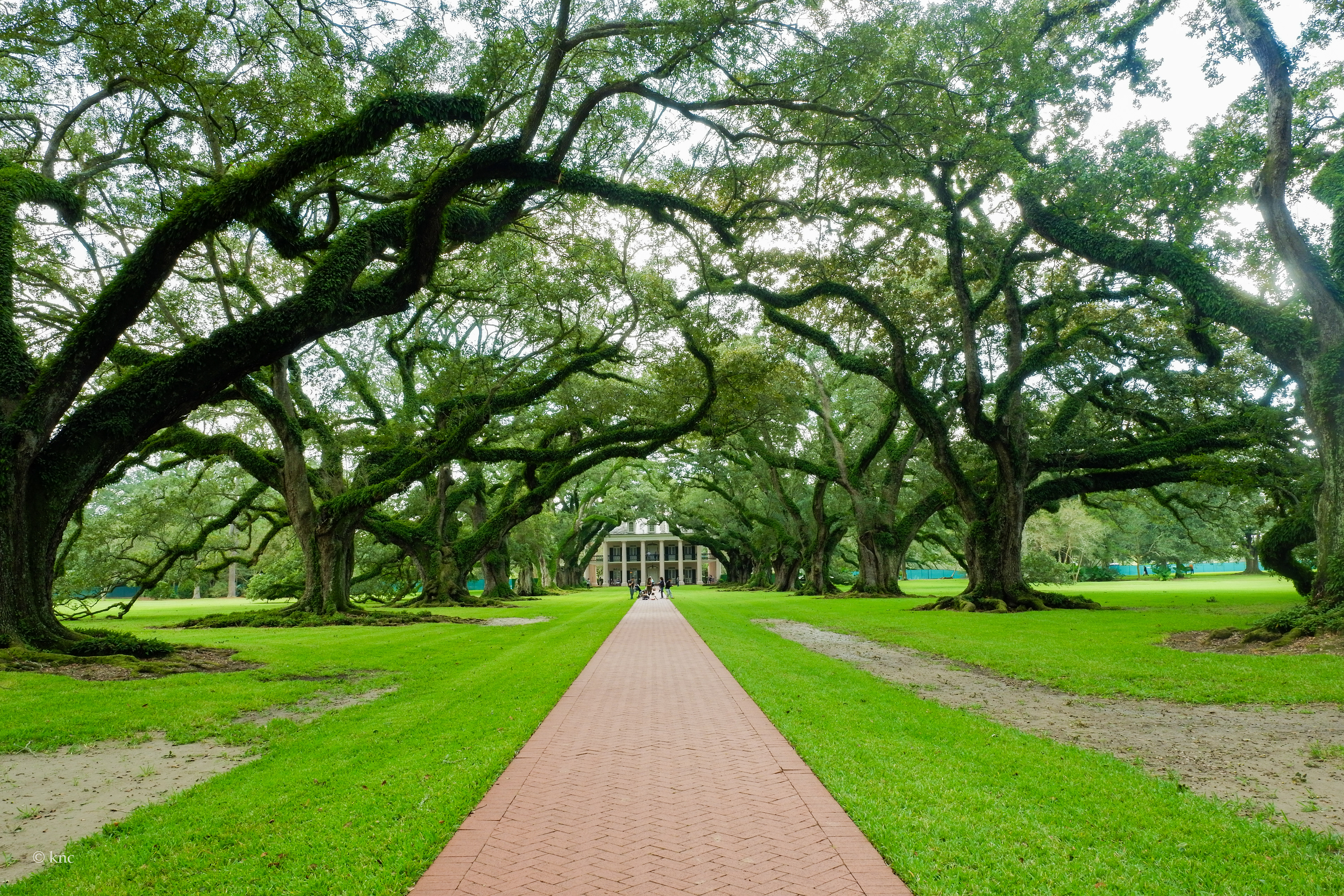 Oak Alley Plantation