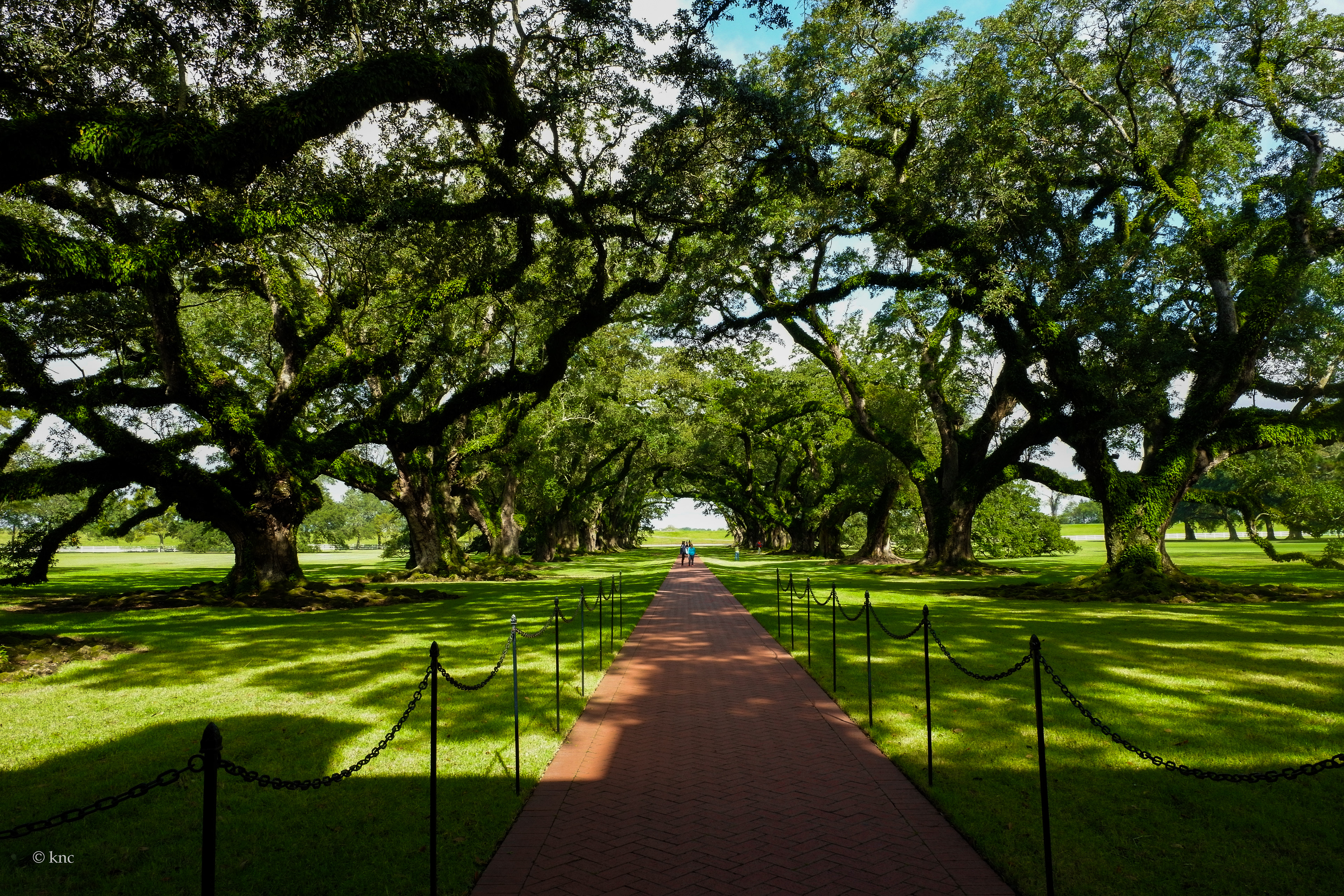 Oak Alley Plantation