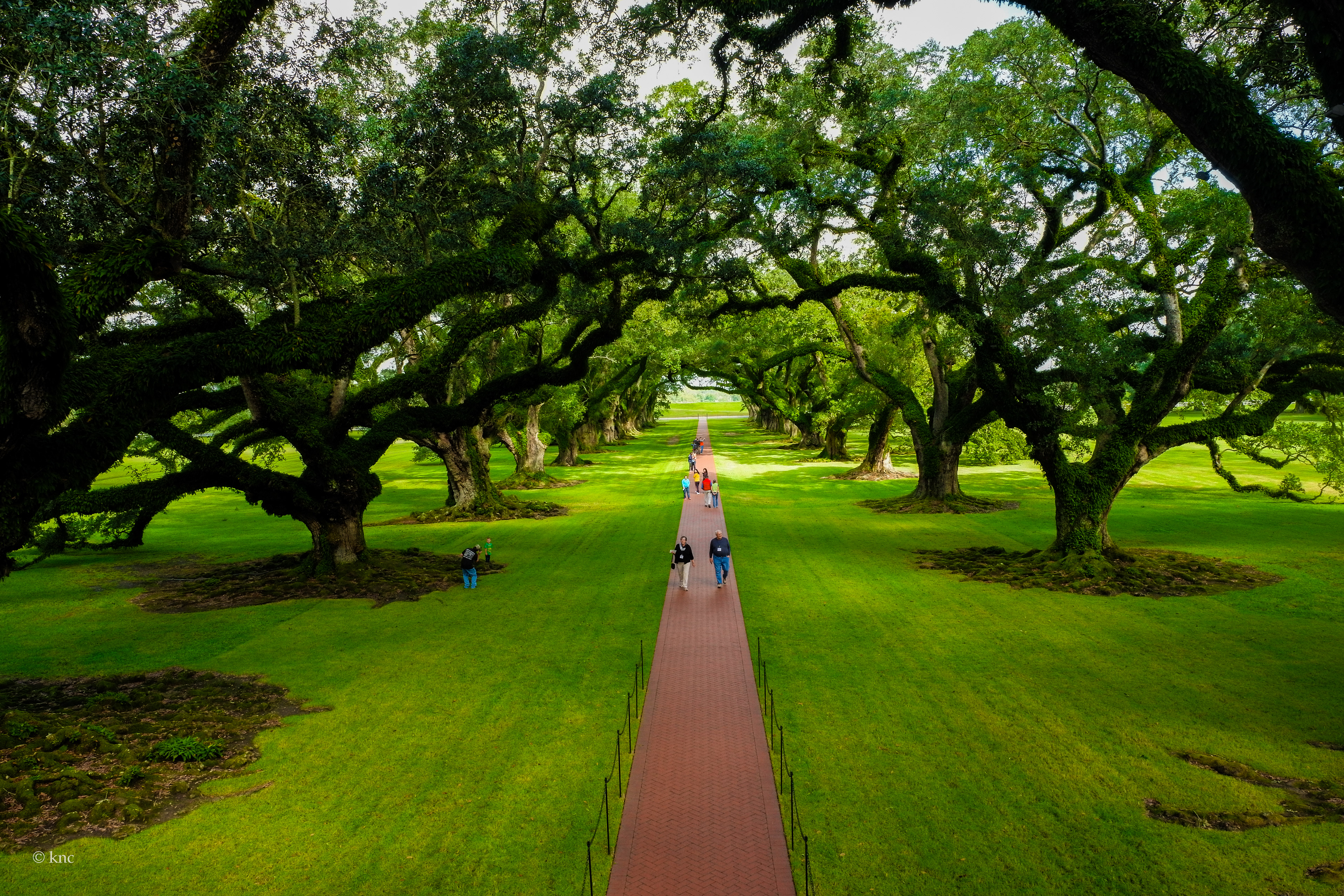 Oak Alley Plantation