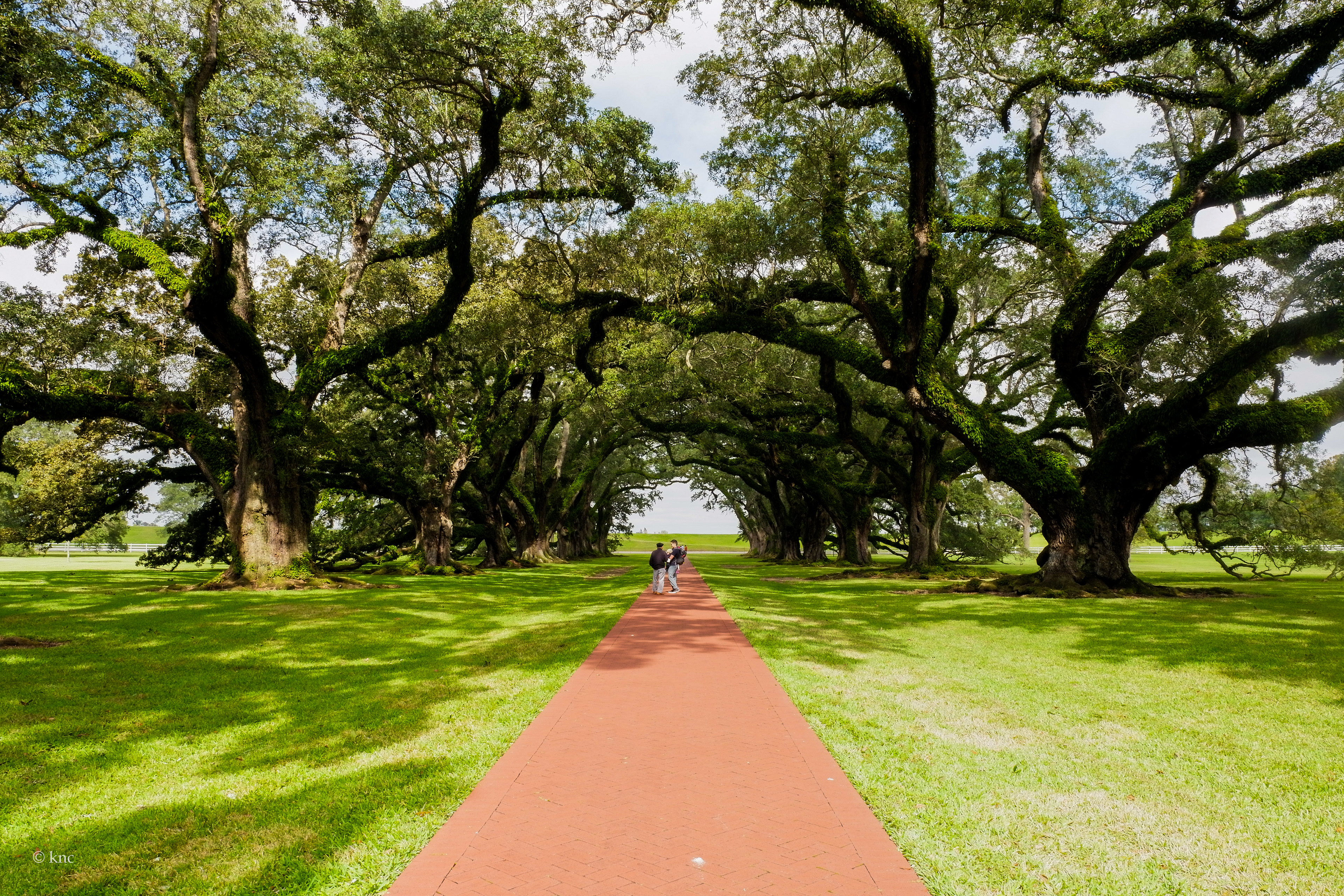 Oak Alley Plantation