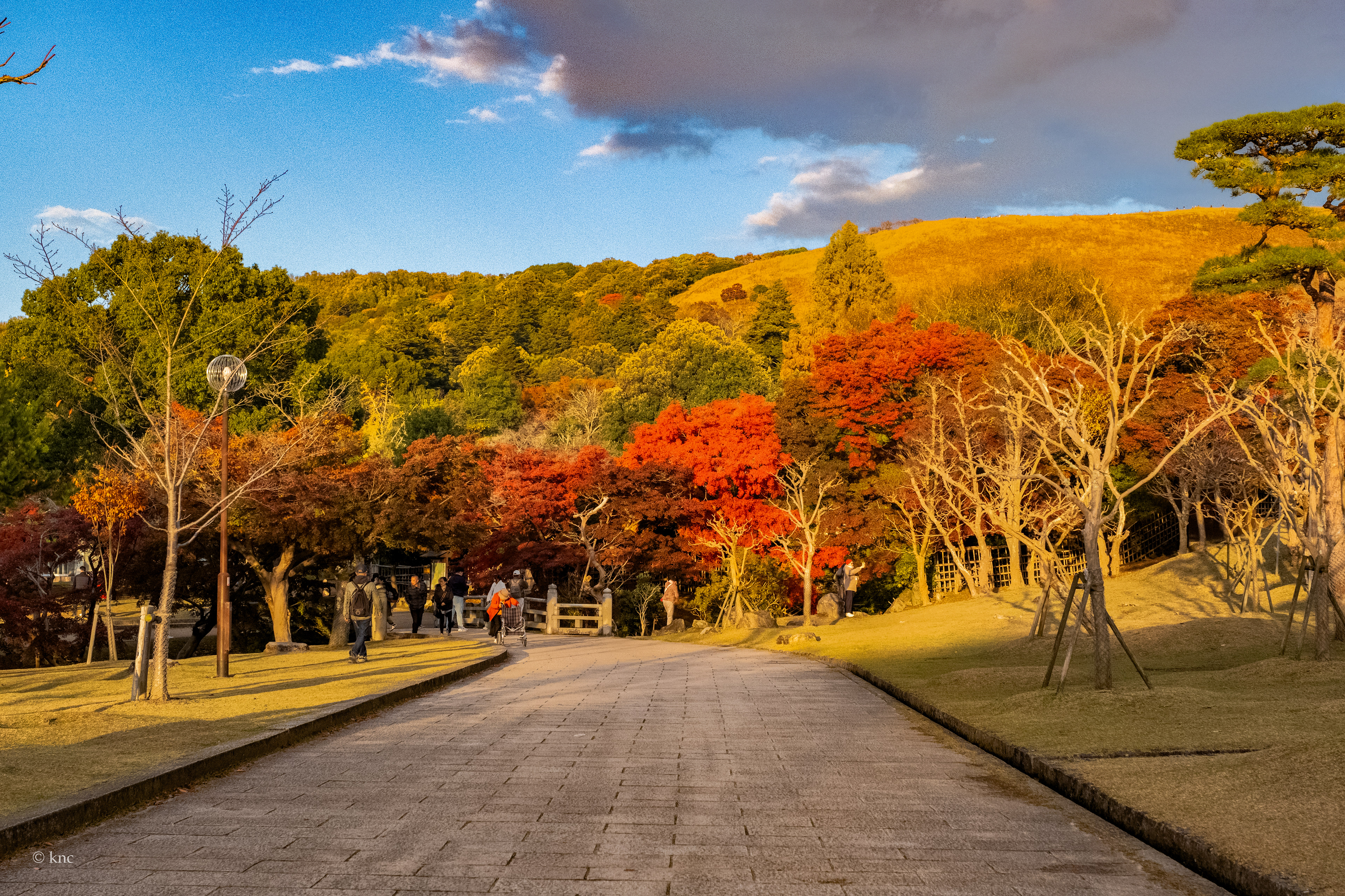 Nara Deer Park