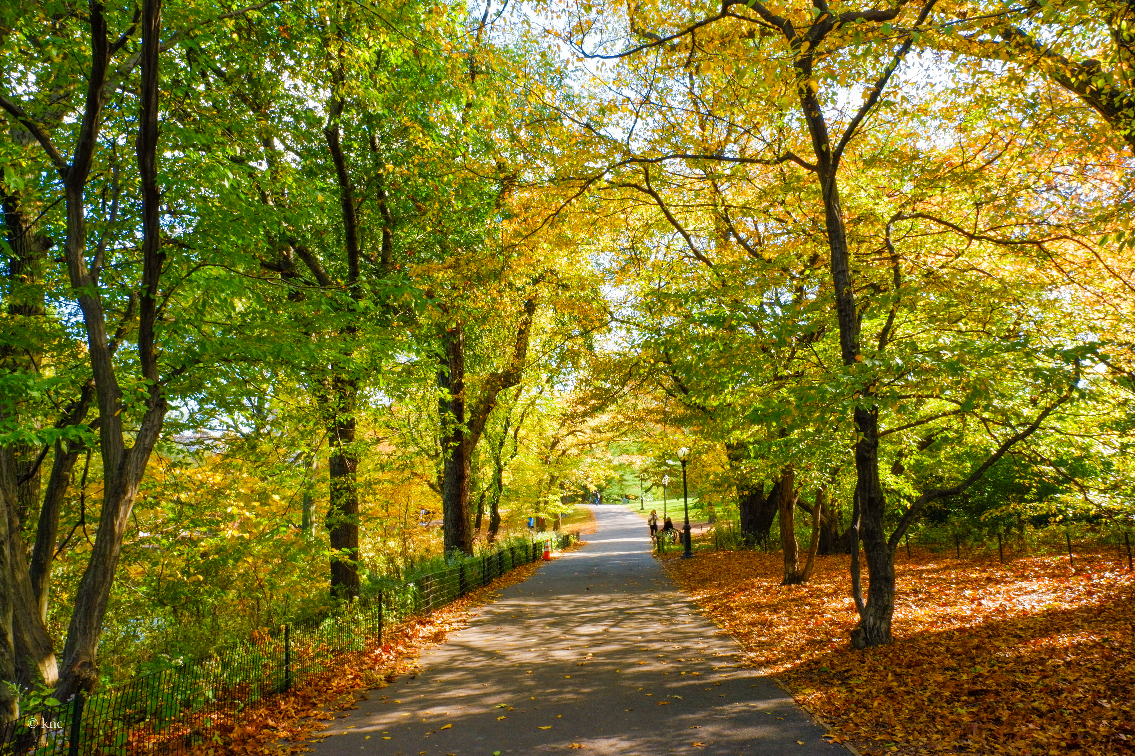 Central Park