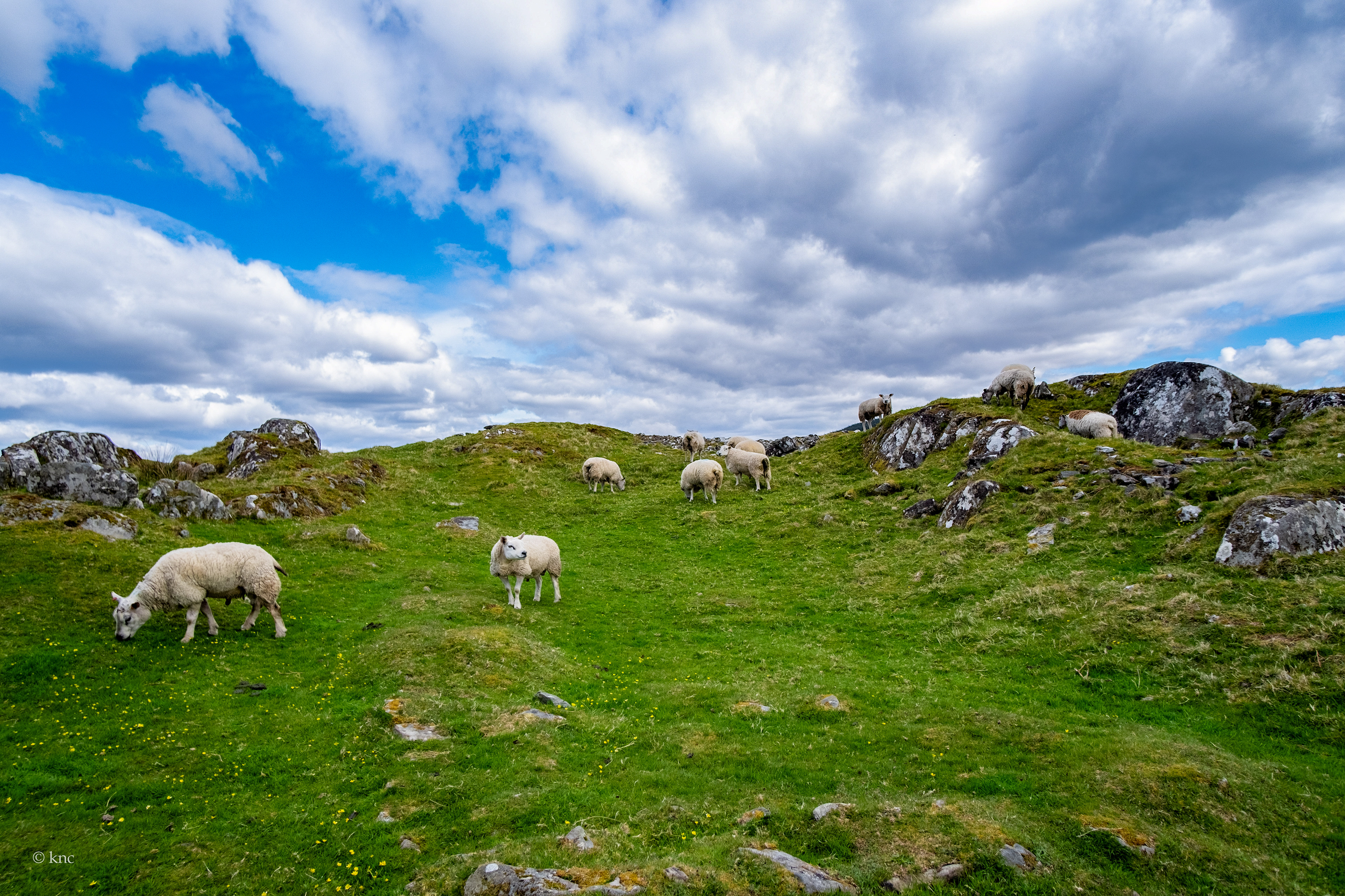Dunadd Fort