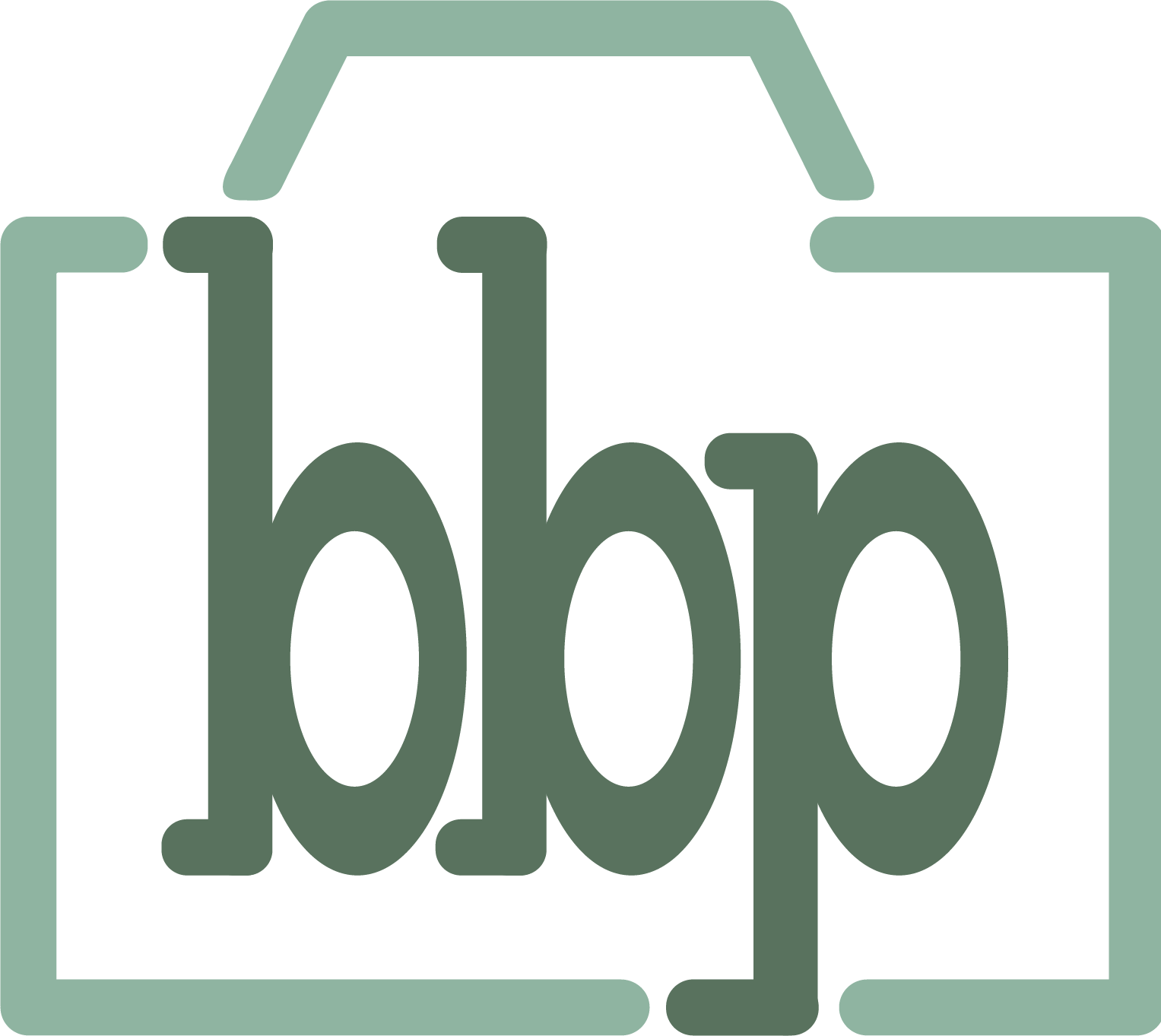 Brook Byrnes Photography abbreviated to bbp inside of a camera shape