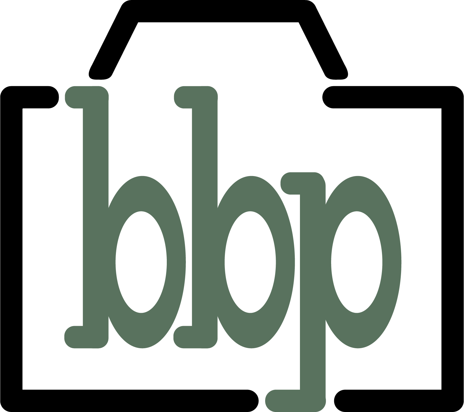 Brook Byrnes Photography abbreviated to bbp inside of a camera shape