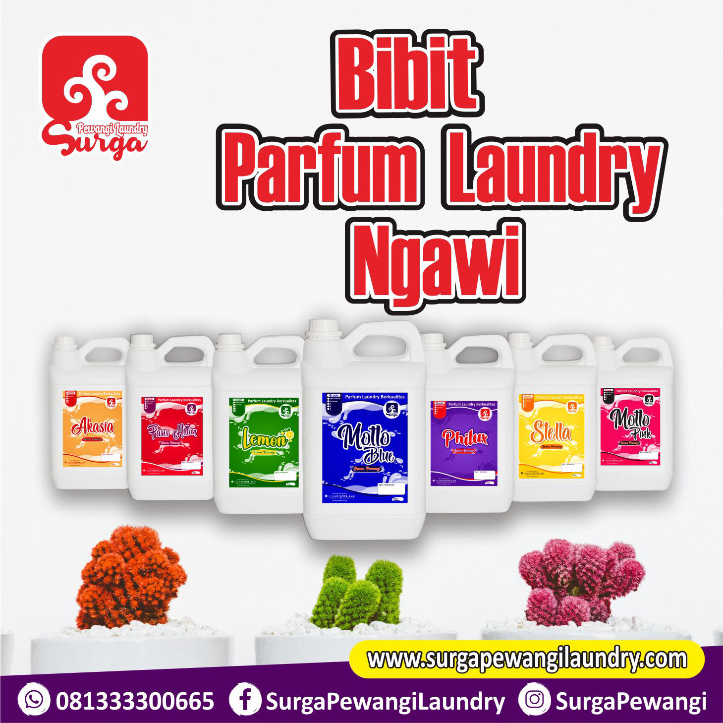Parfum Laundry Ngawi