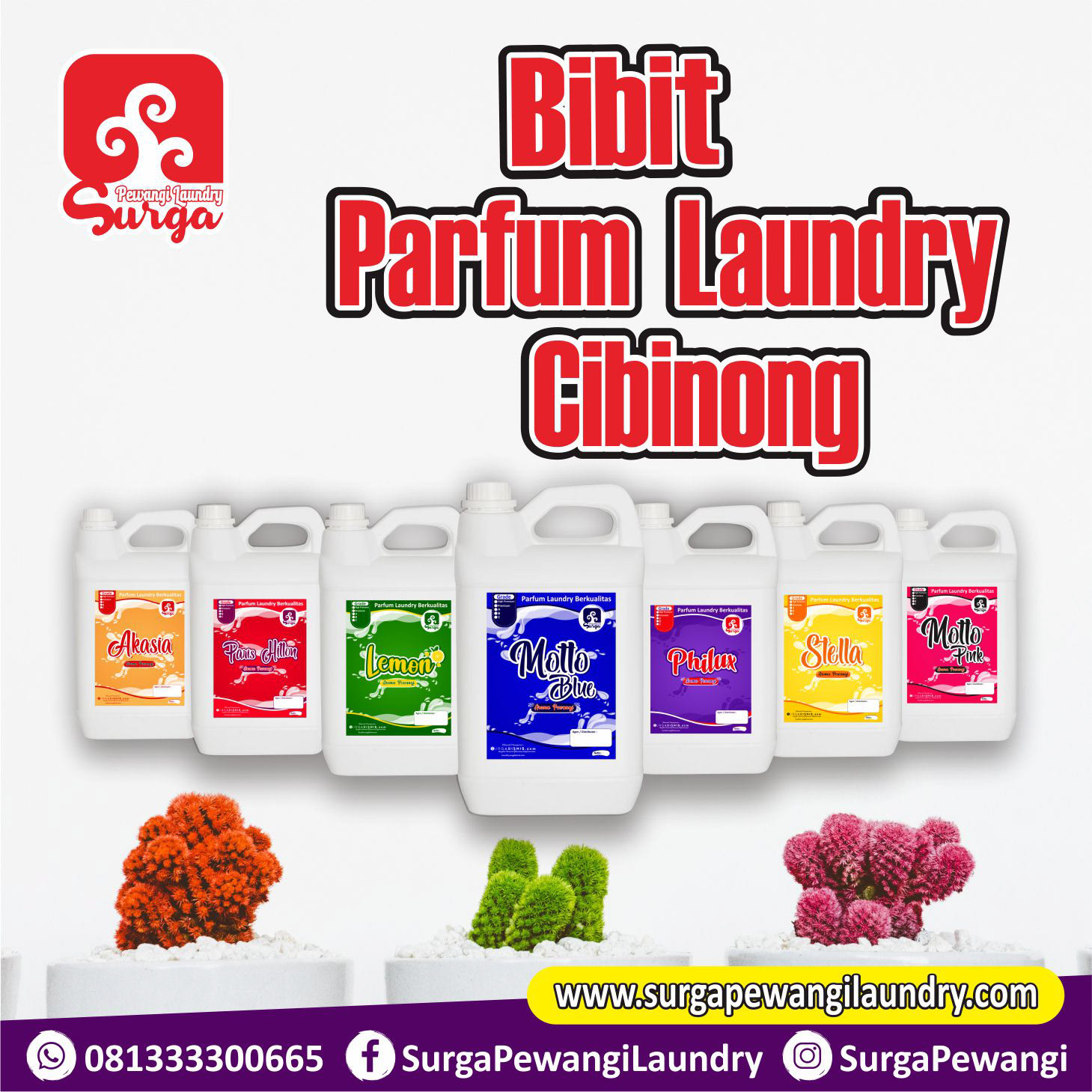 Parfum Laundry Cibinong