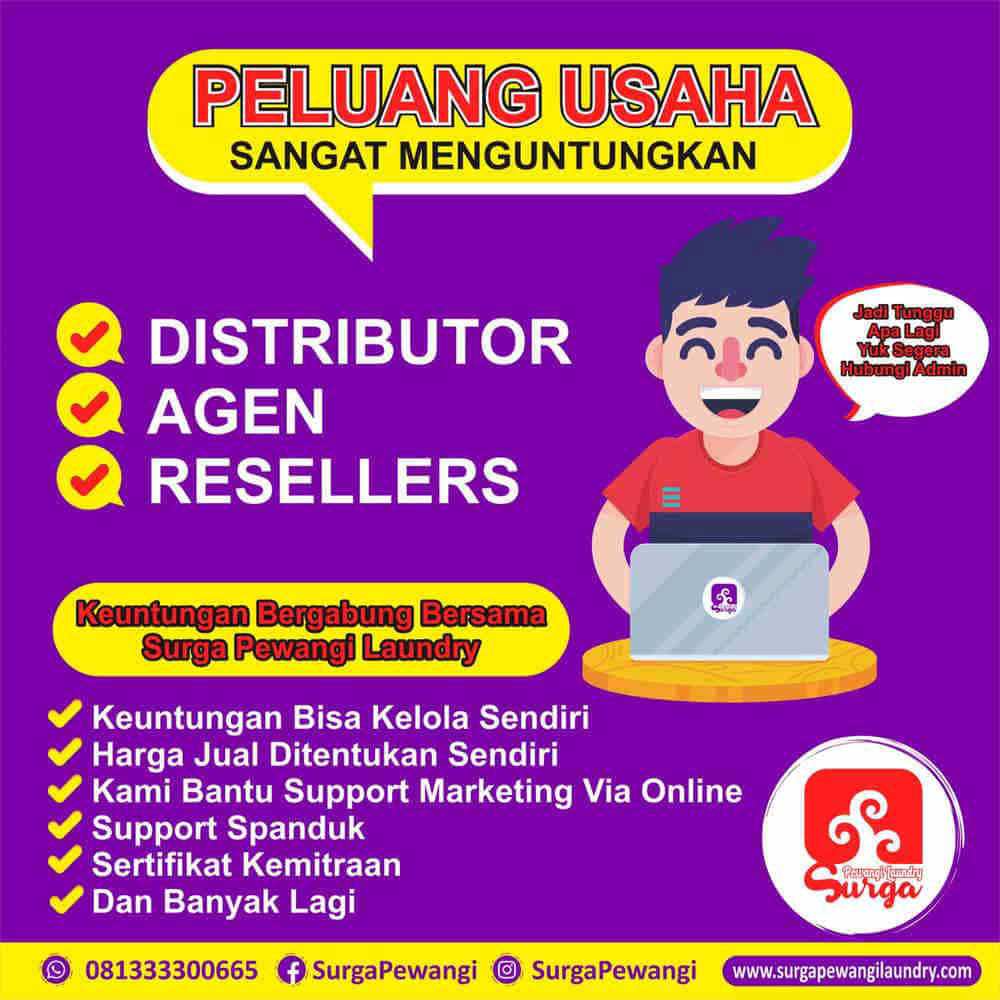 peluang usaha pewangi laundry