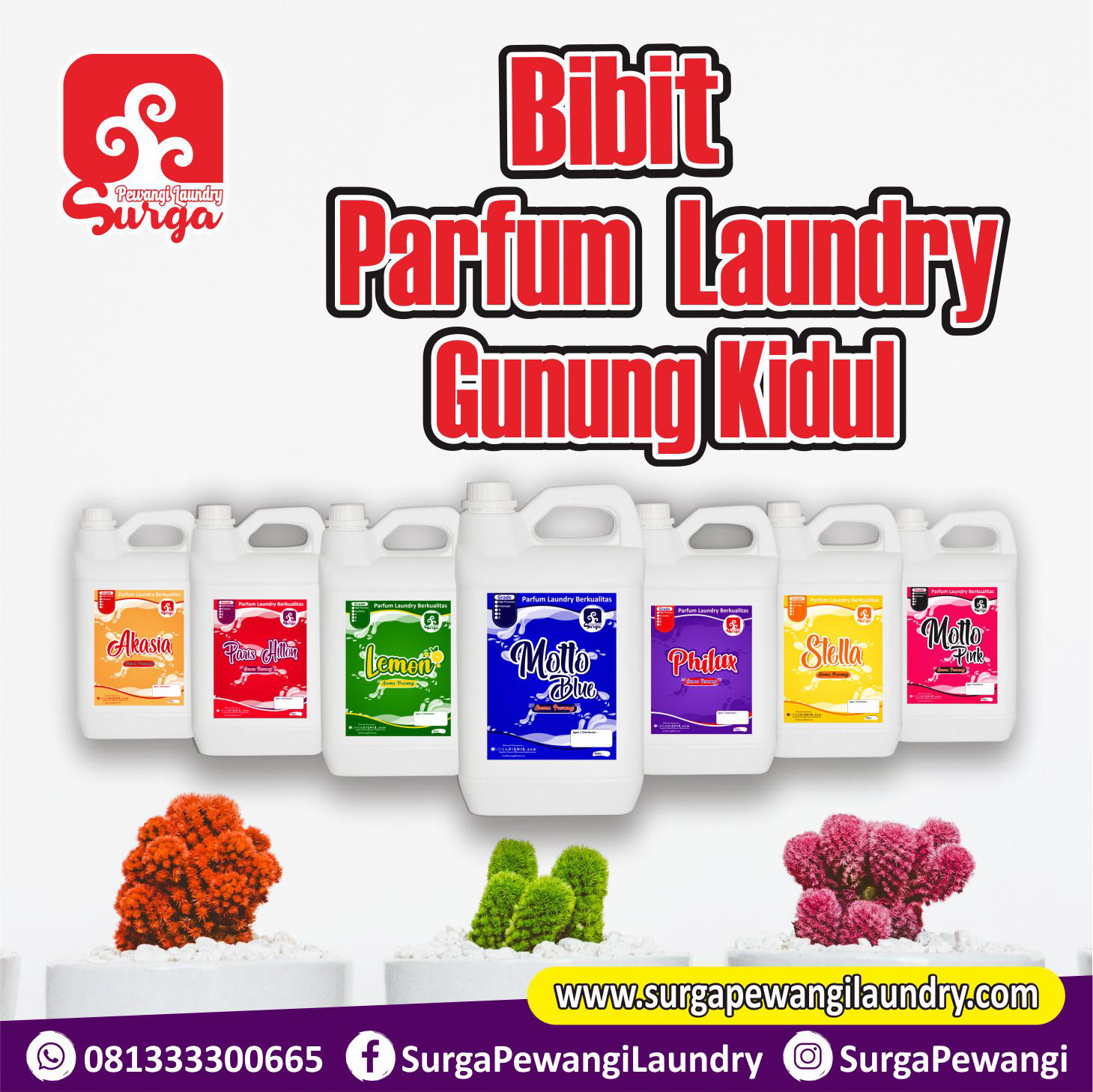 Parfum Laundry Gunung Kidul