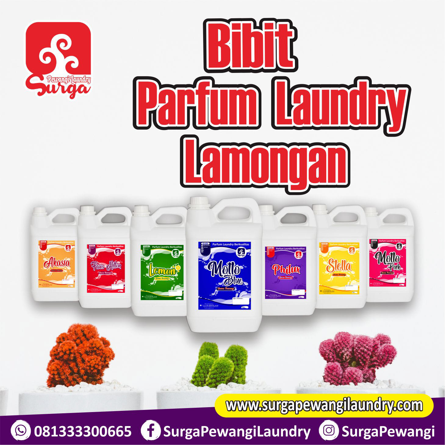 Parfum Laundry Lamongan