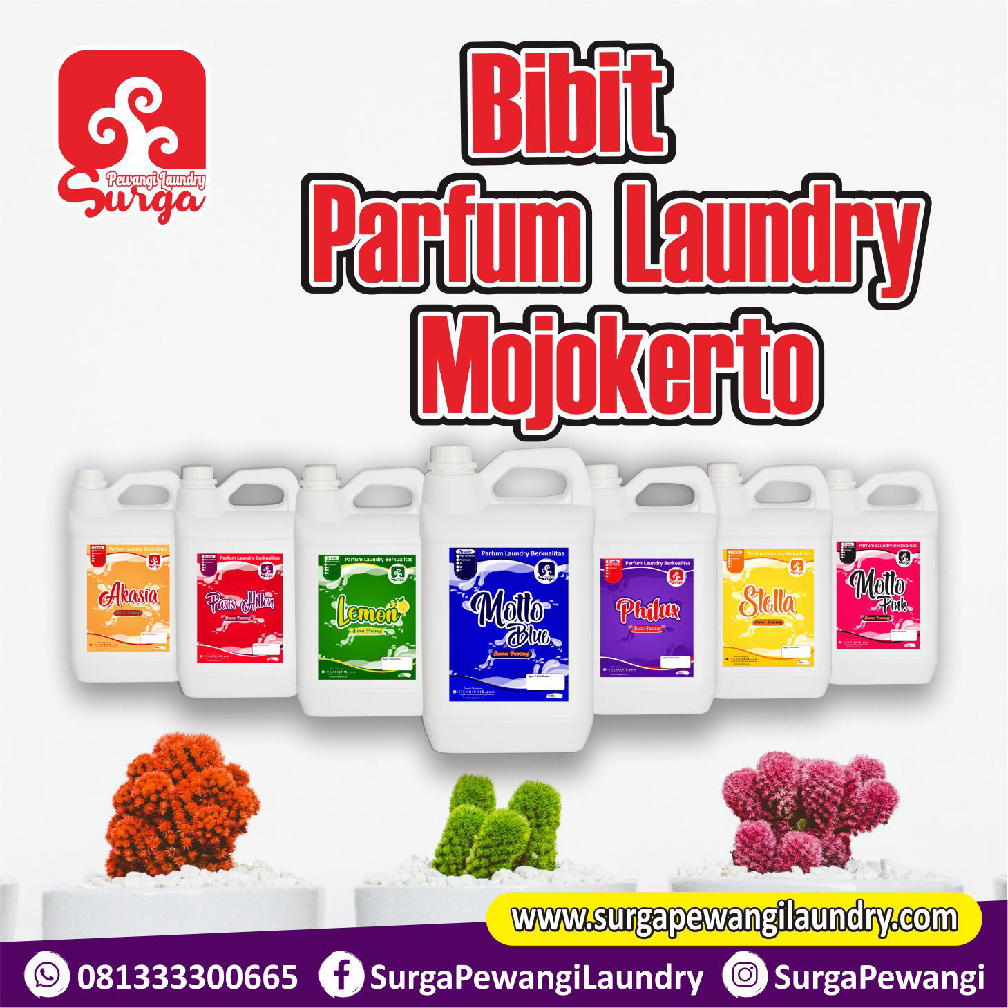 Parfum Laundry Mojokerto