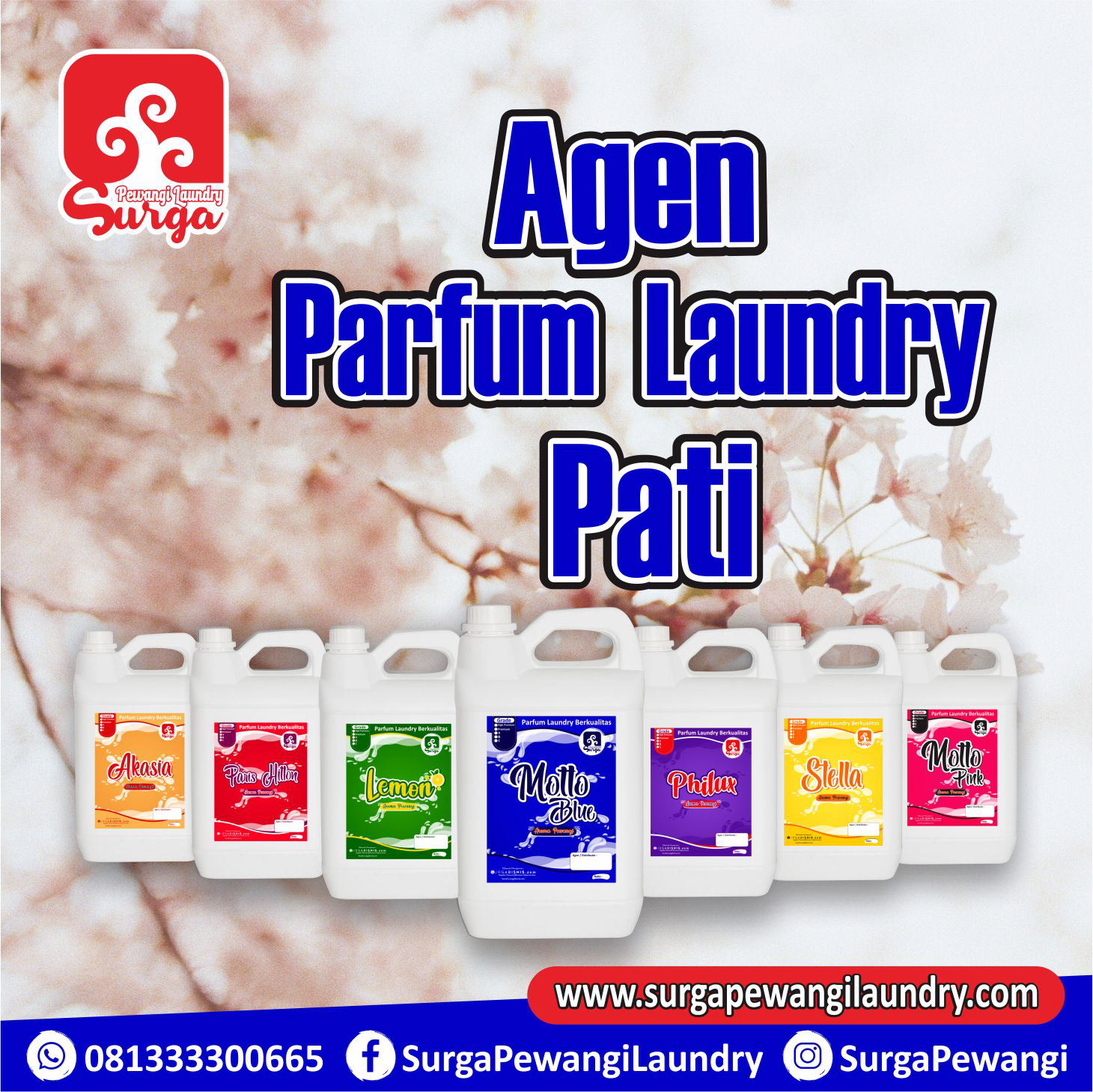 Jual Parfum Laundry Pati