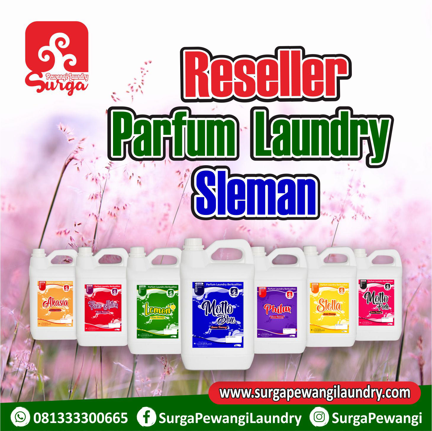 pewangi laundry sleman yogyakarta