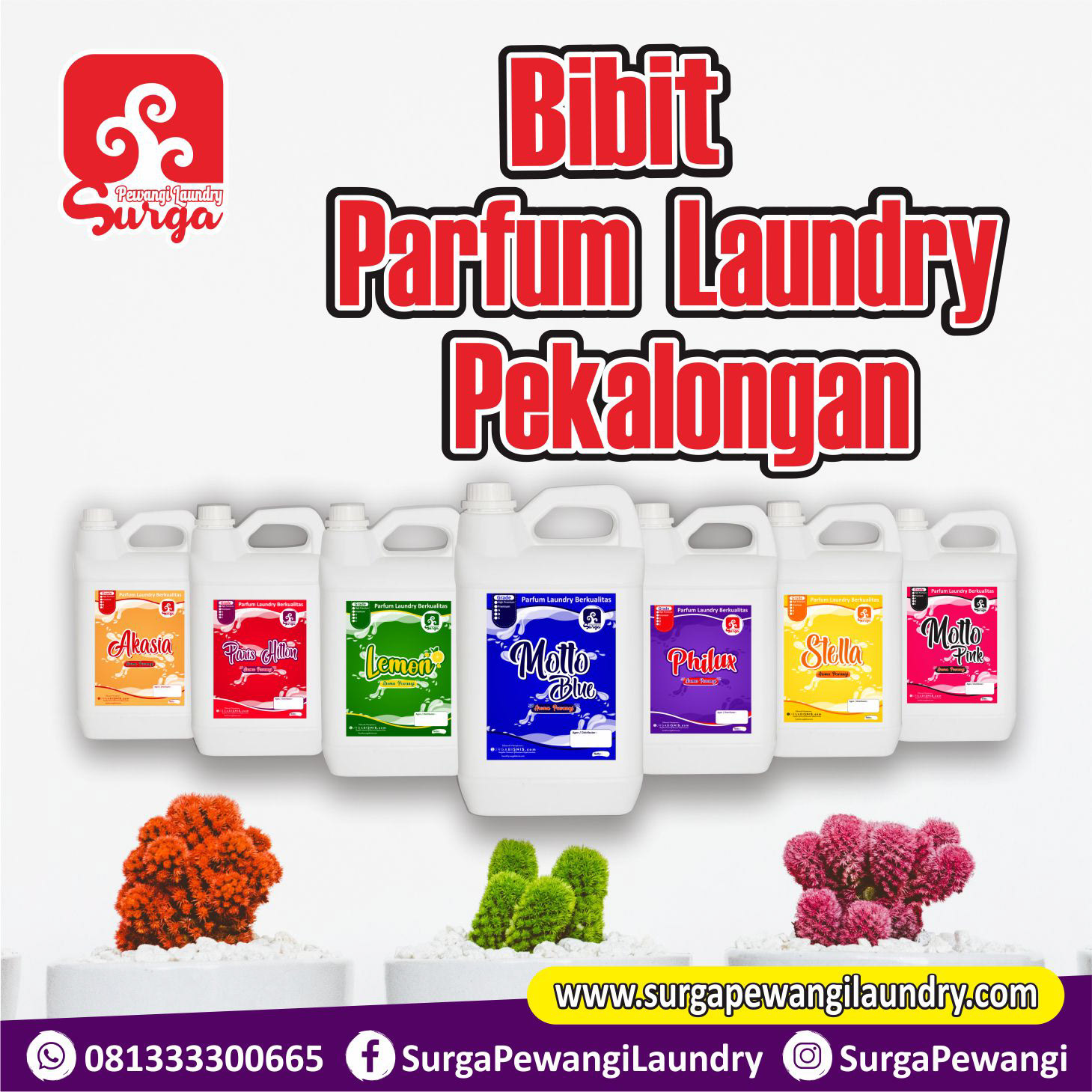 Parfum Laundry Pekalongan