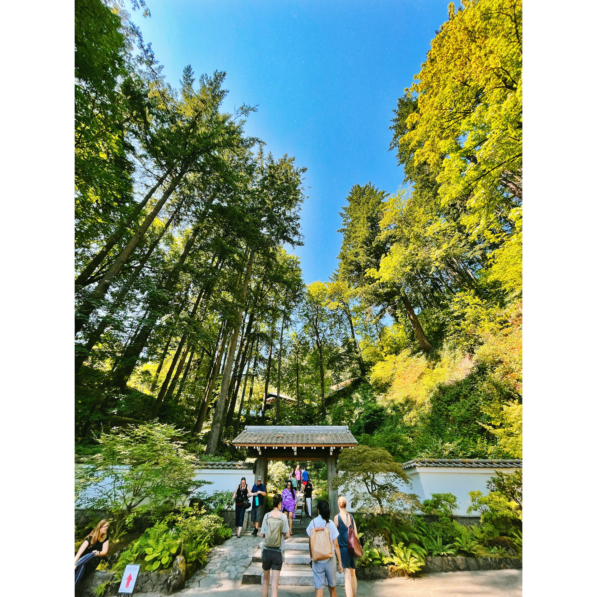 The Japanese Gardens