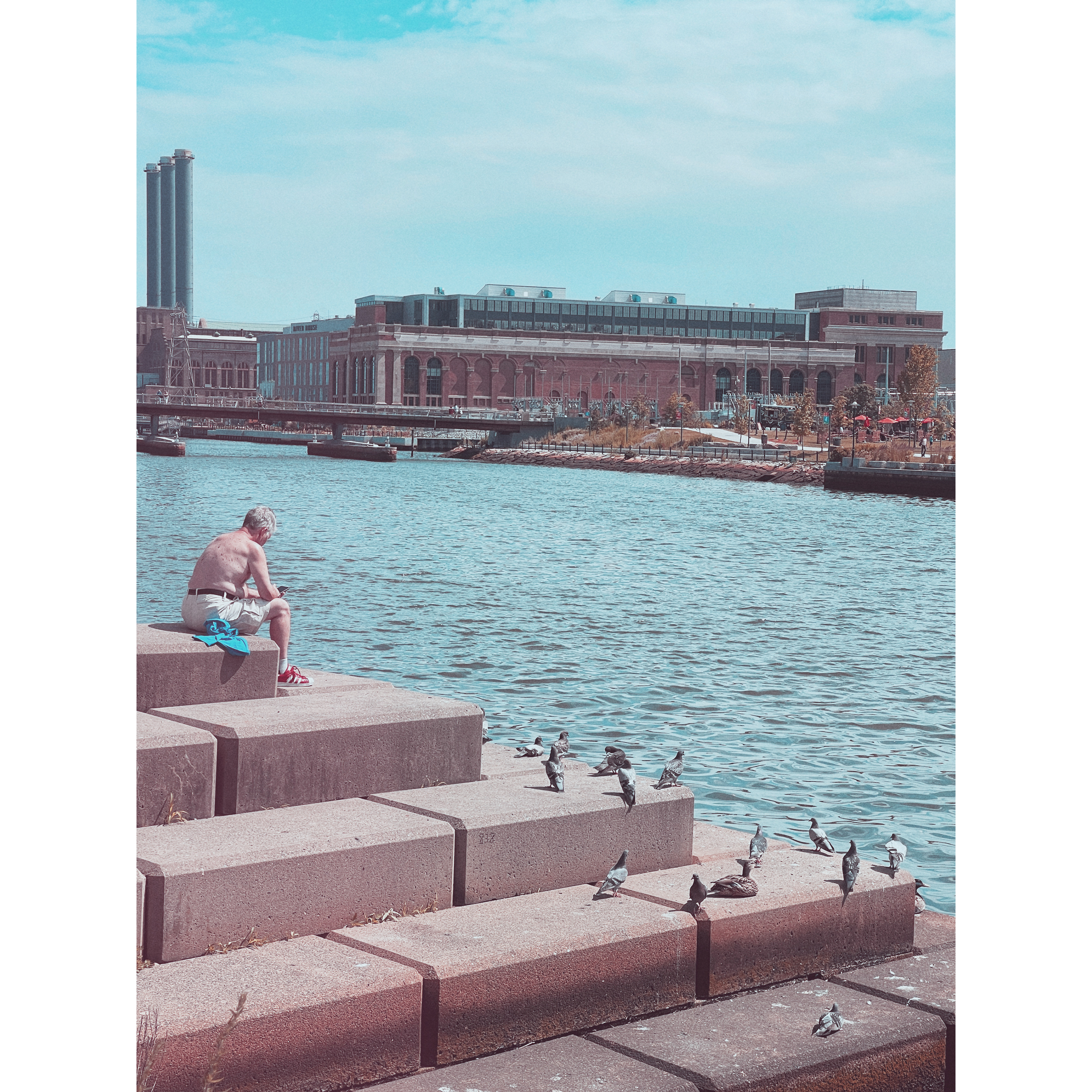 A Man & His Birds