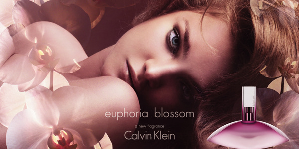 calvin klein euphoria blossom smell