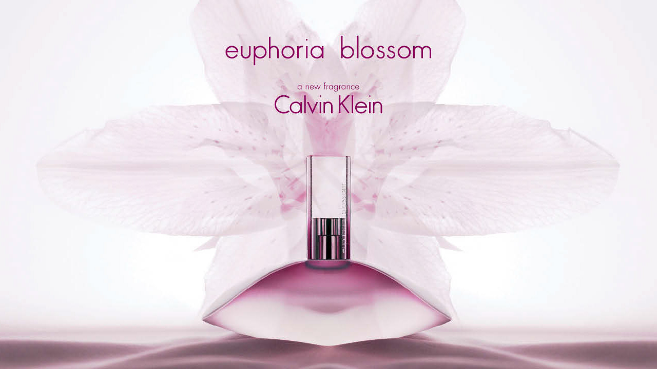 Euphoria blossom discount calvin klein smell