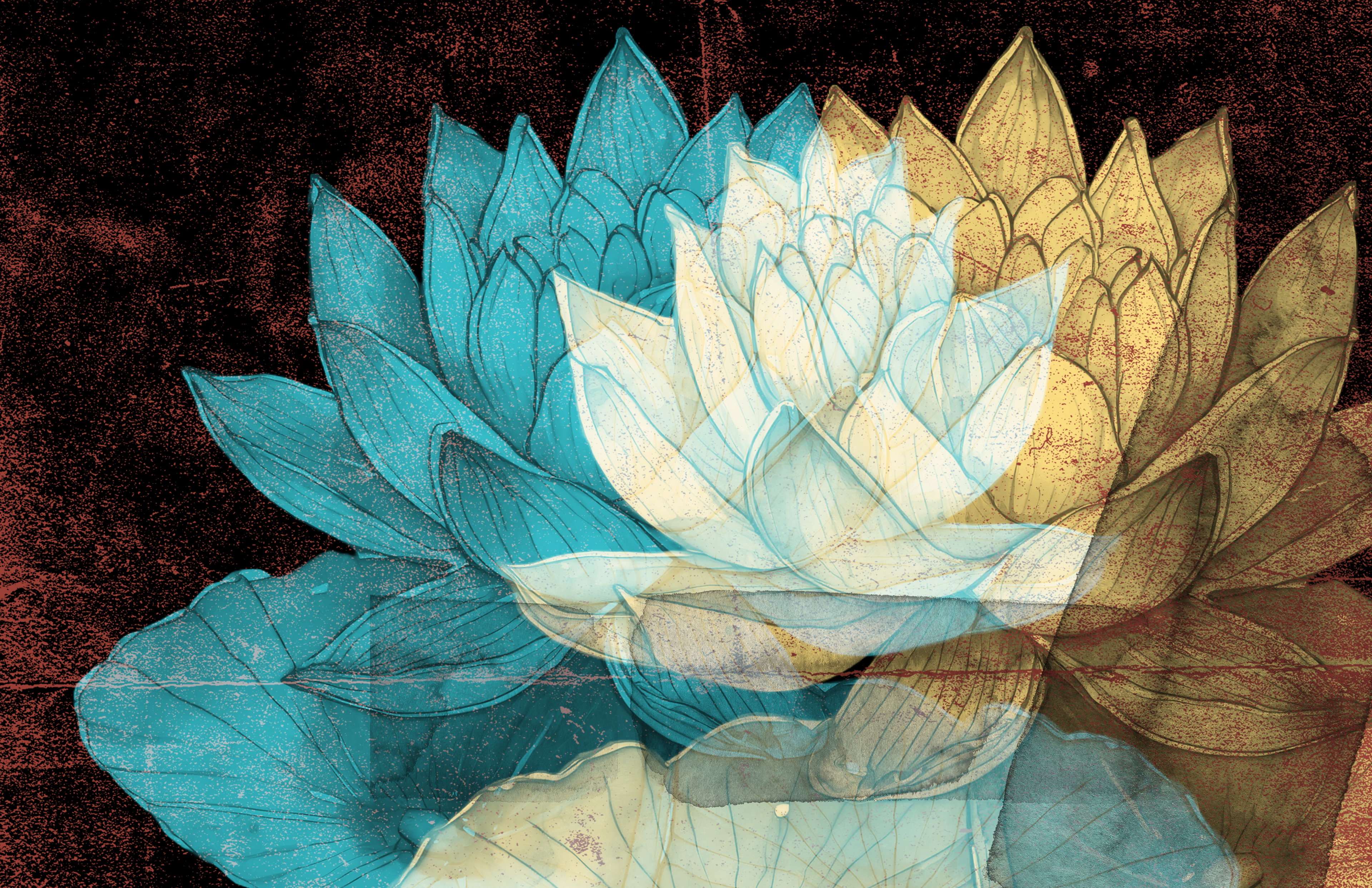 hand-drawn lotus flower - poster can be ordered as well