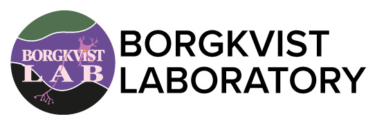 Anders Borgkvist