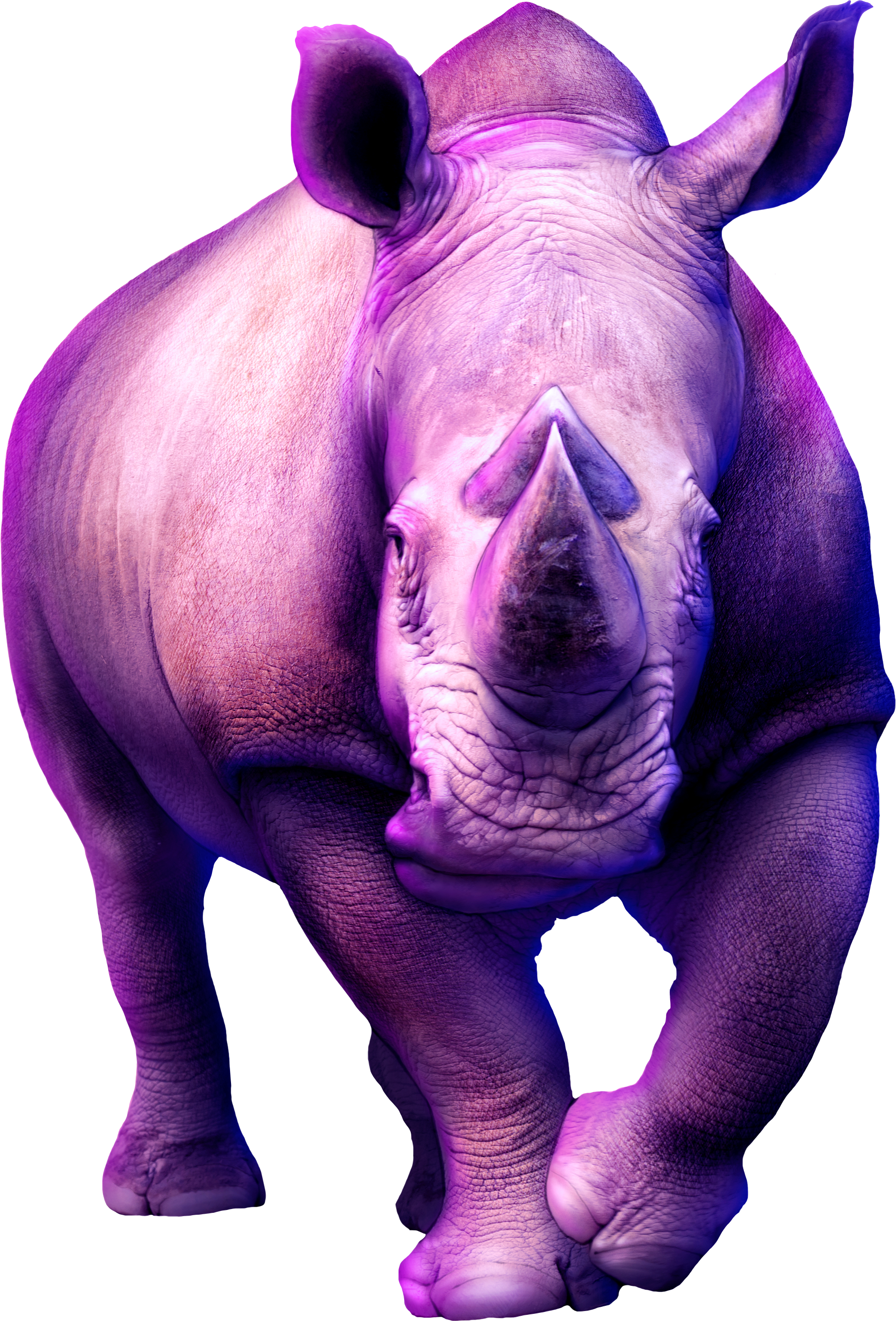 Rhino Paint Over