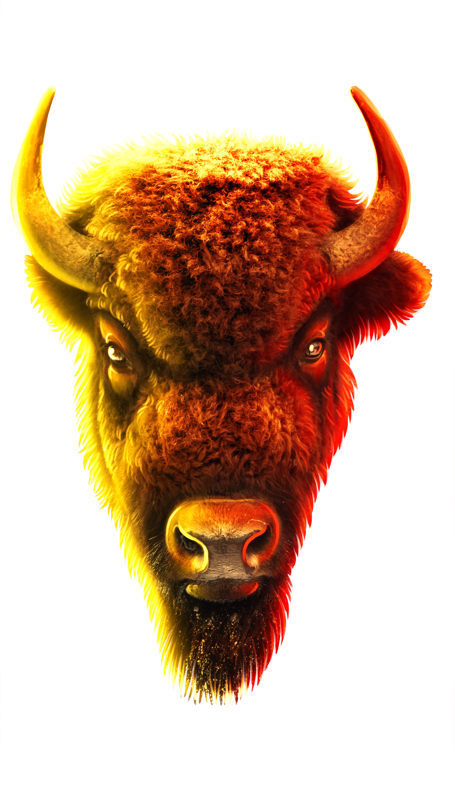 Buffalo Profile Paint Over