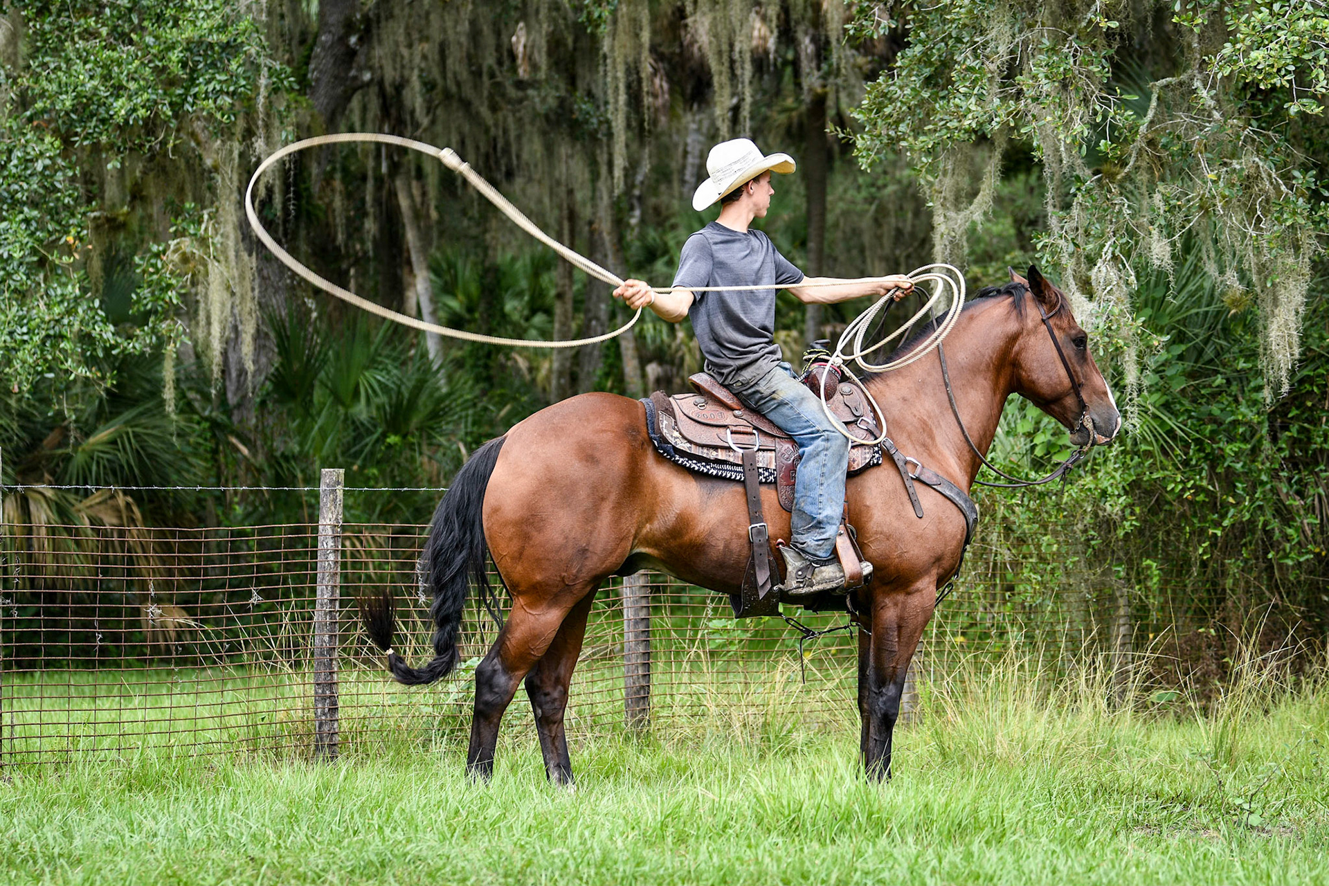 Triangle Ranch