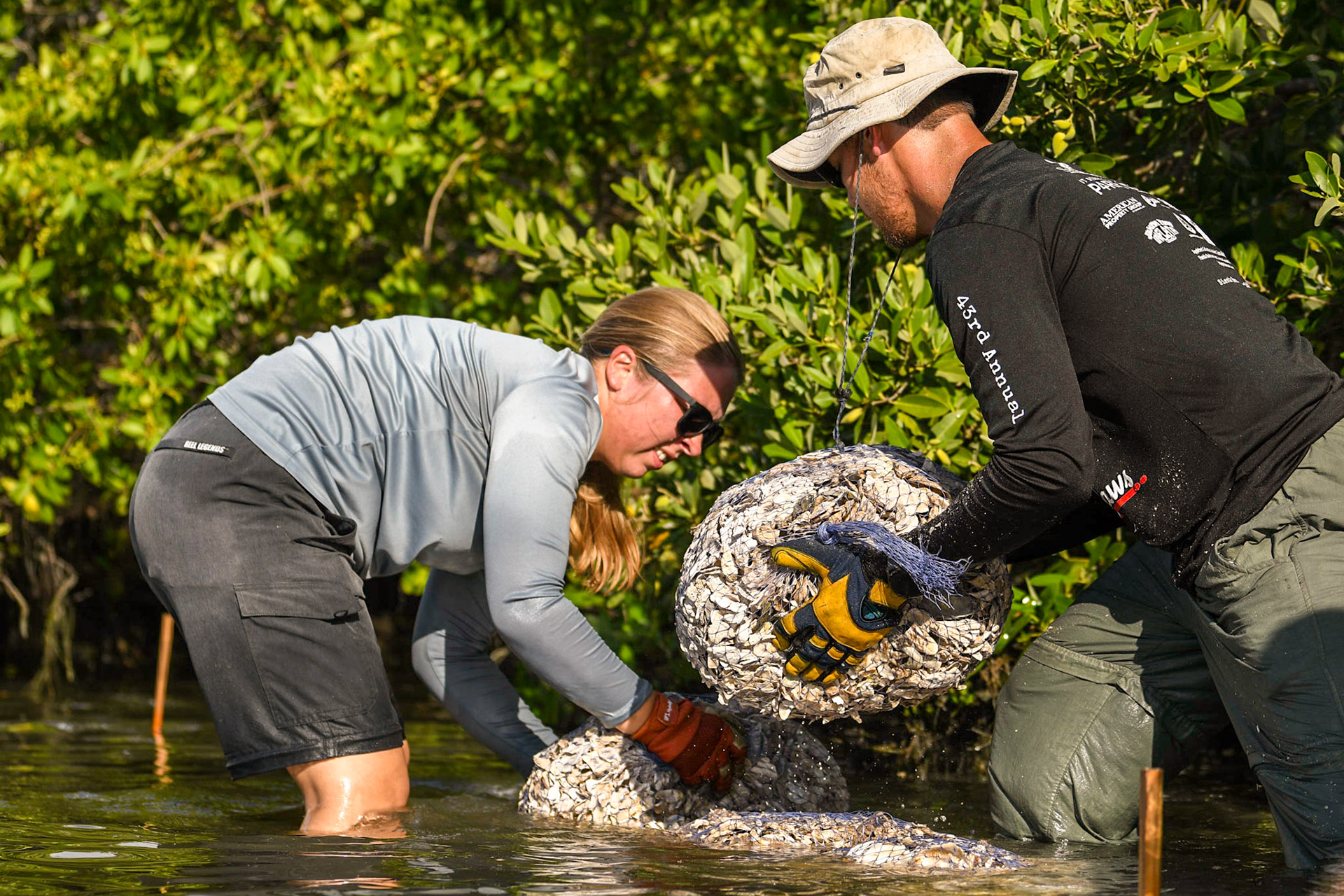 Blackburn Point Oyster Bag Deployment