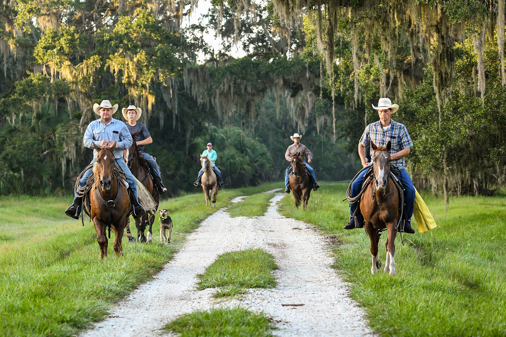 Triangle Ranch