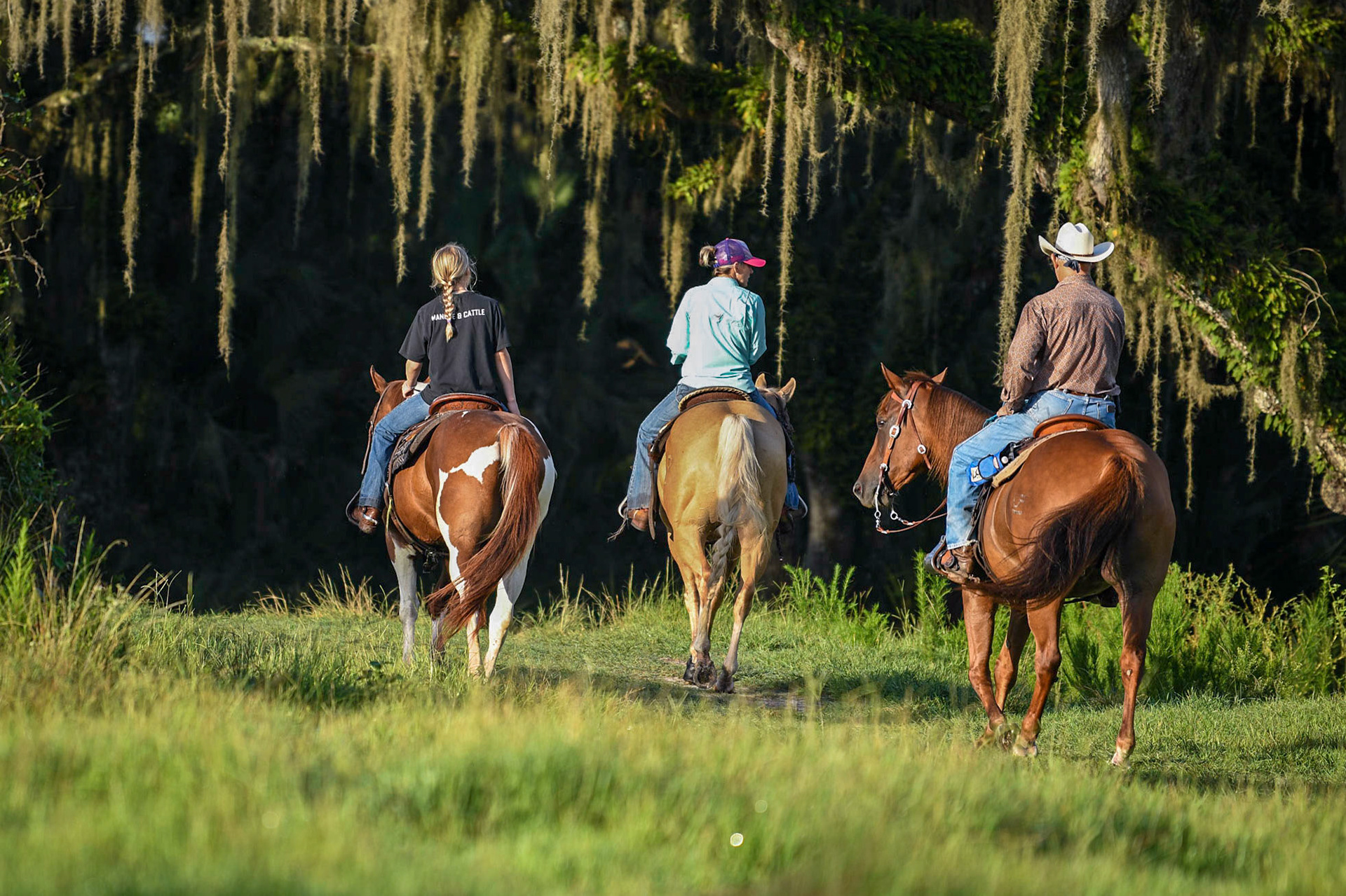 Triangle Ranch