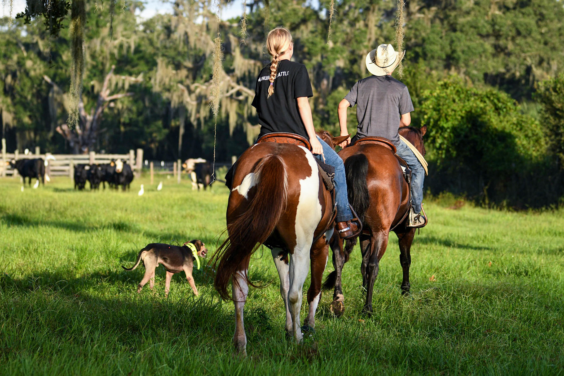 Triangle Ranch