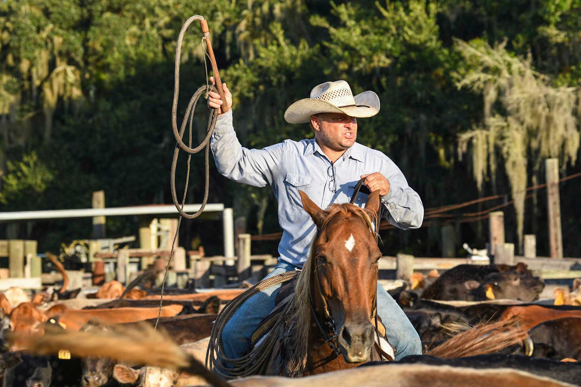 Triangle Ranch